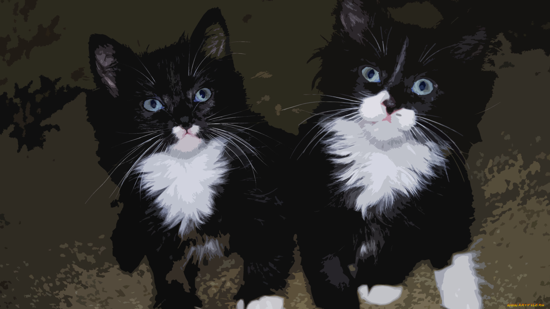 векторная, графика, котенок