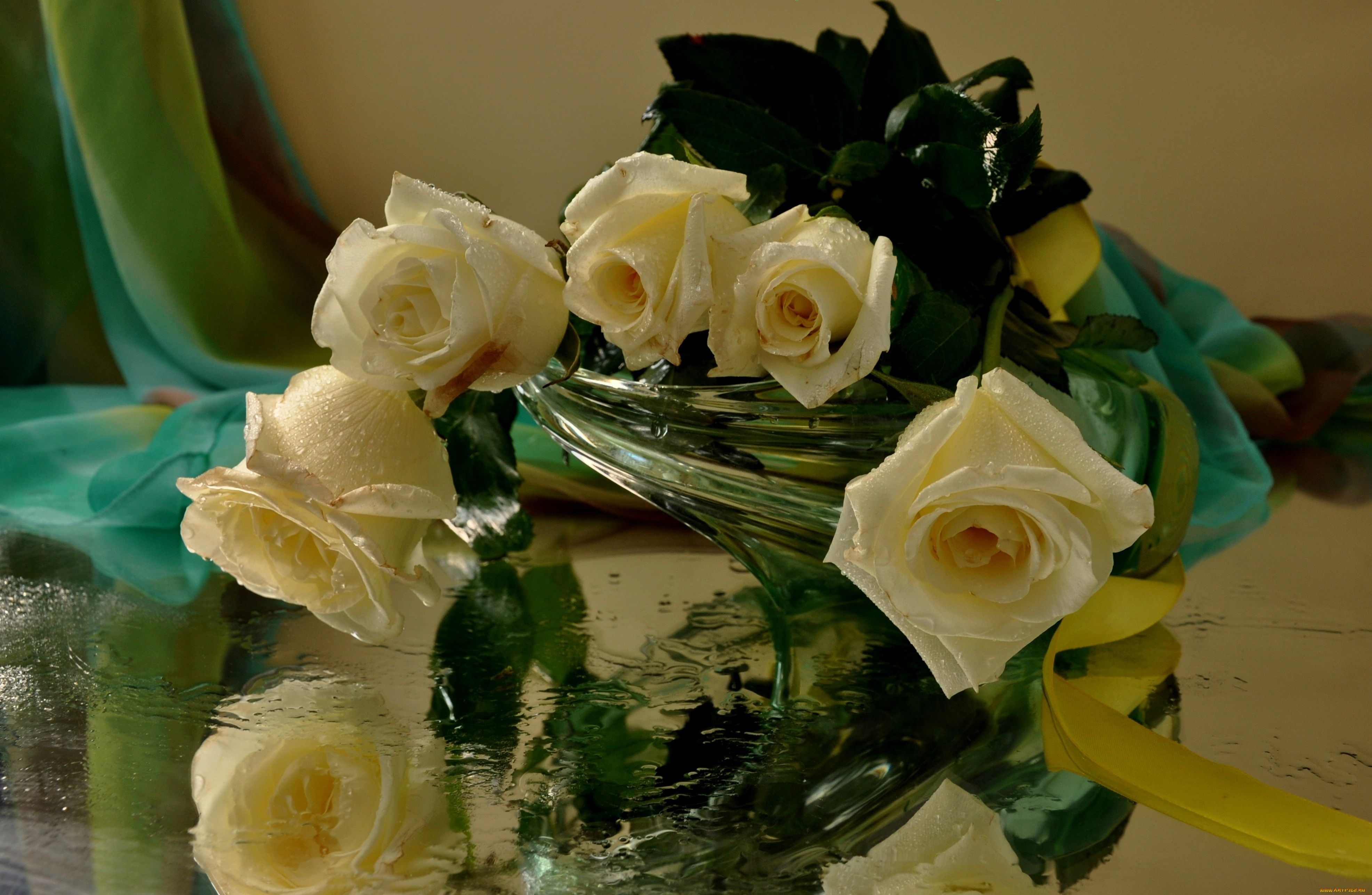 авт, nezabudka, fn, цветы, розы, отражение