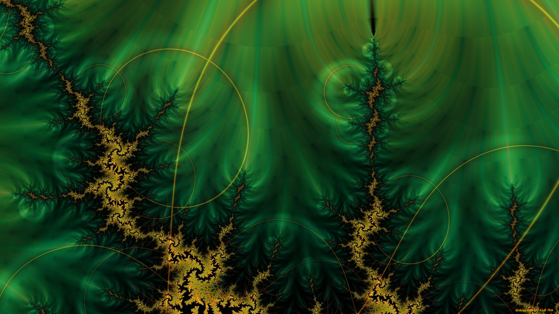 3д, графика, fractal, фракталы, тёмно-зеленый, фон, круги, линии