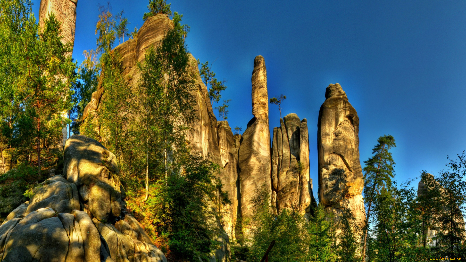 природа, горы, скалы, деревья