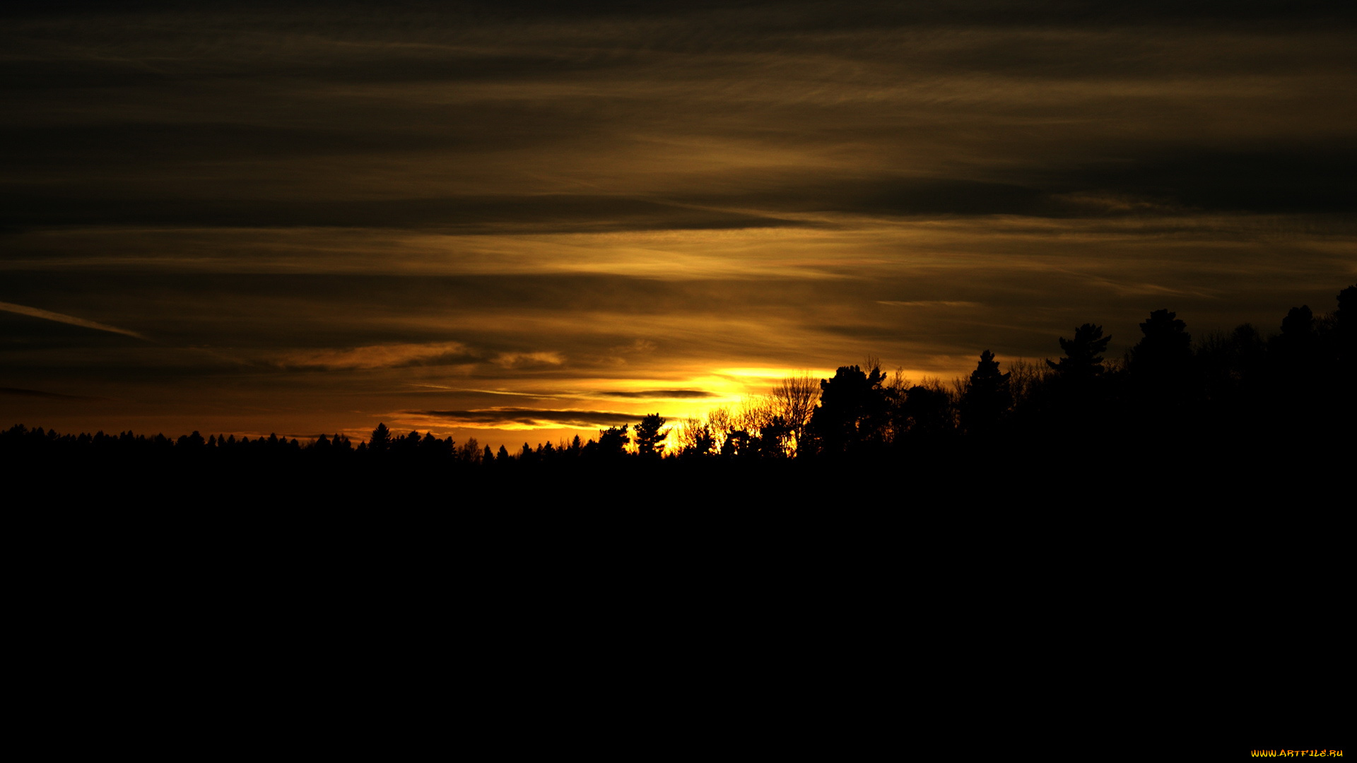природа, восходы, закаты, облака, деревья