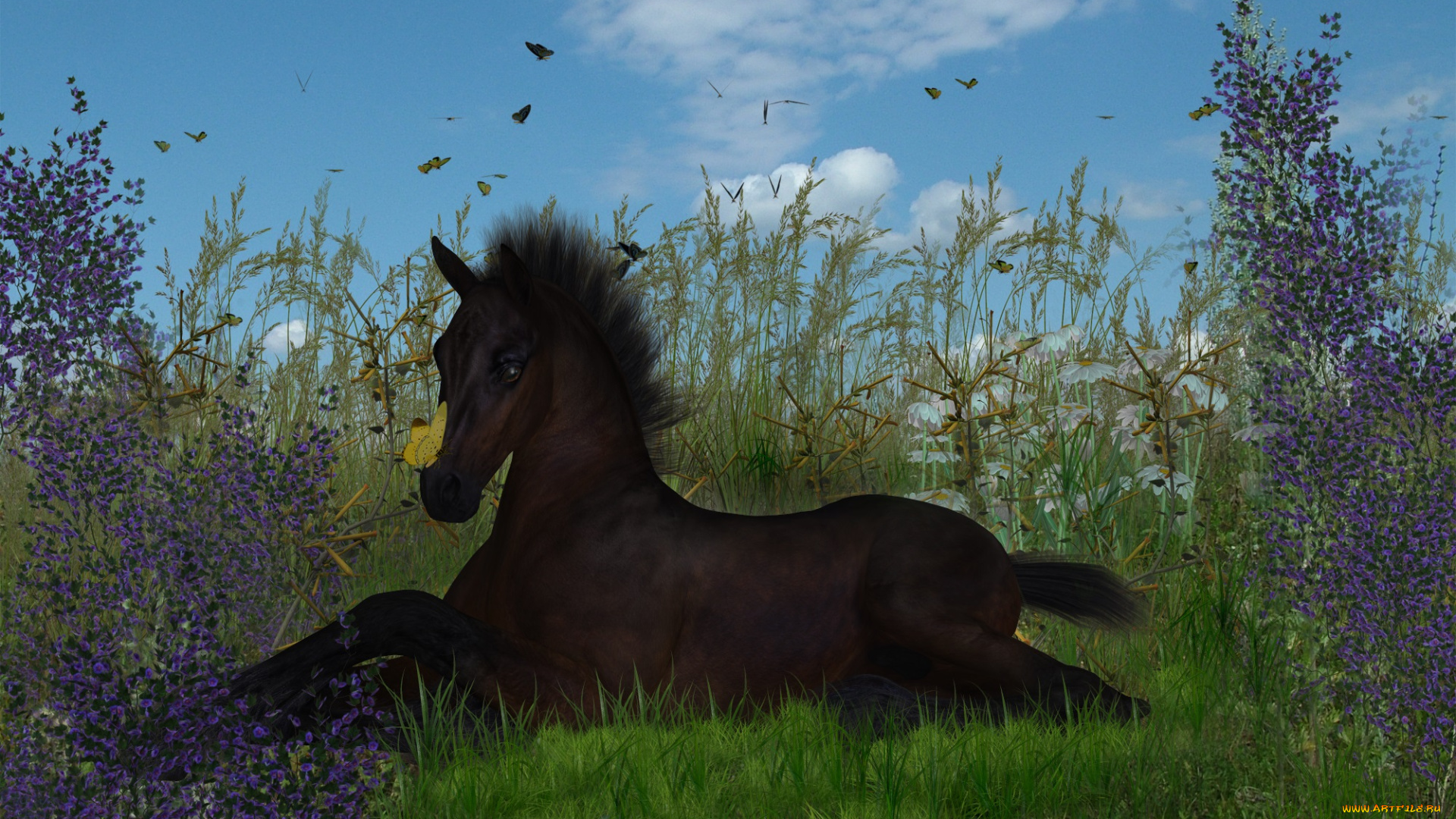 3д, графика, животные, , animals, лето, лошадка, небо, облака, трава
