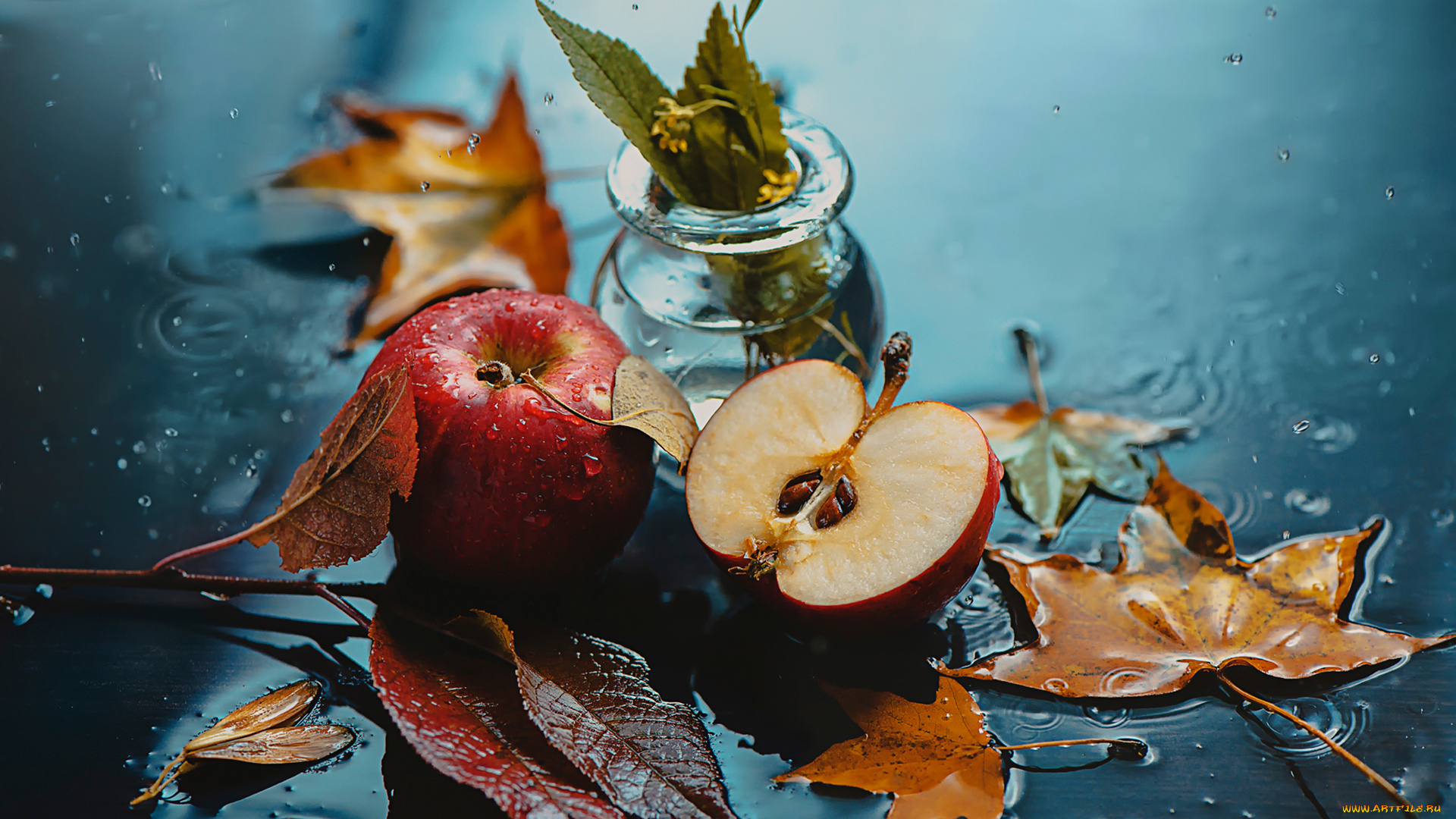 еда, Яблоки, осень, капли, листья, яблоки