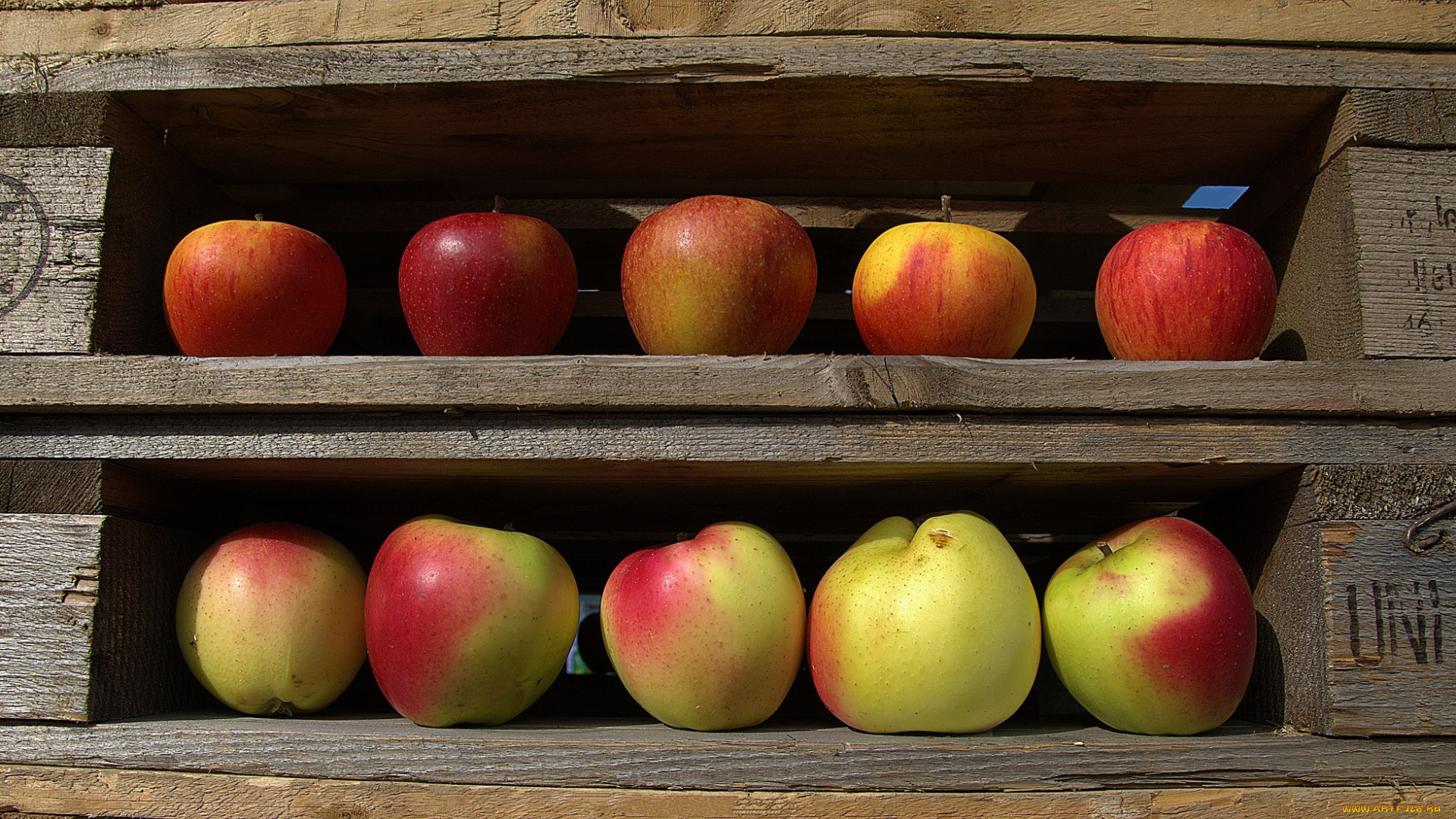 еда, Яблоки, яблочки