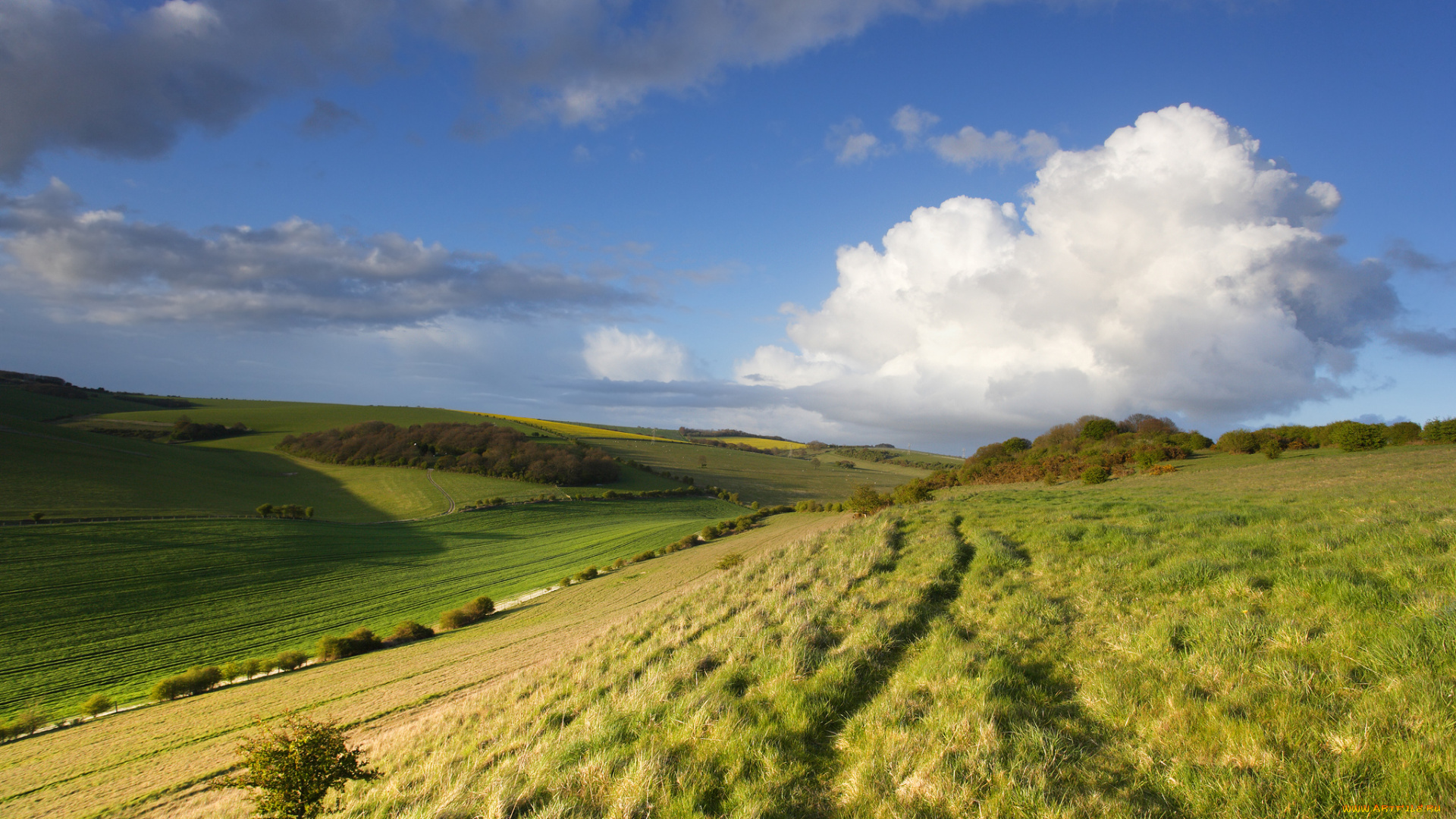 природа, поля, луг, облака, небо