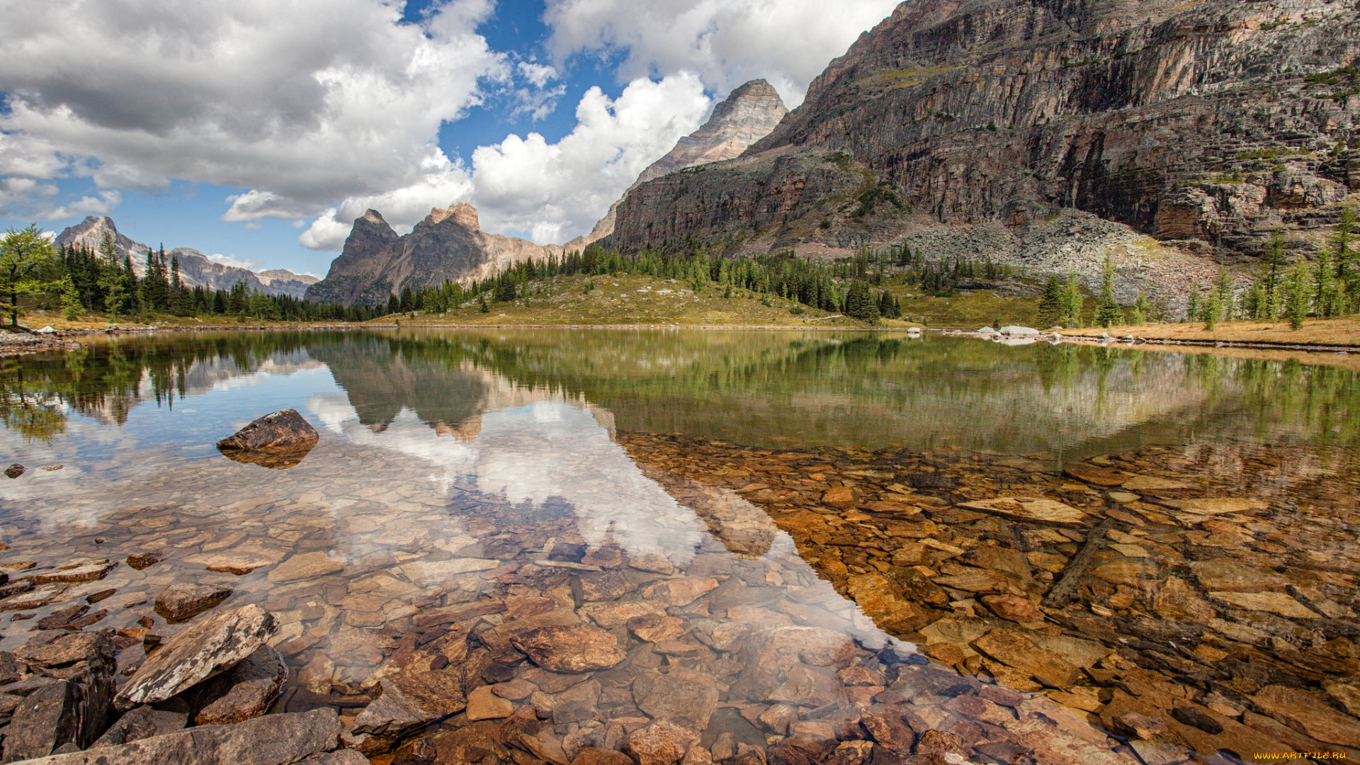 природа, реки, озера, река, лес, горы