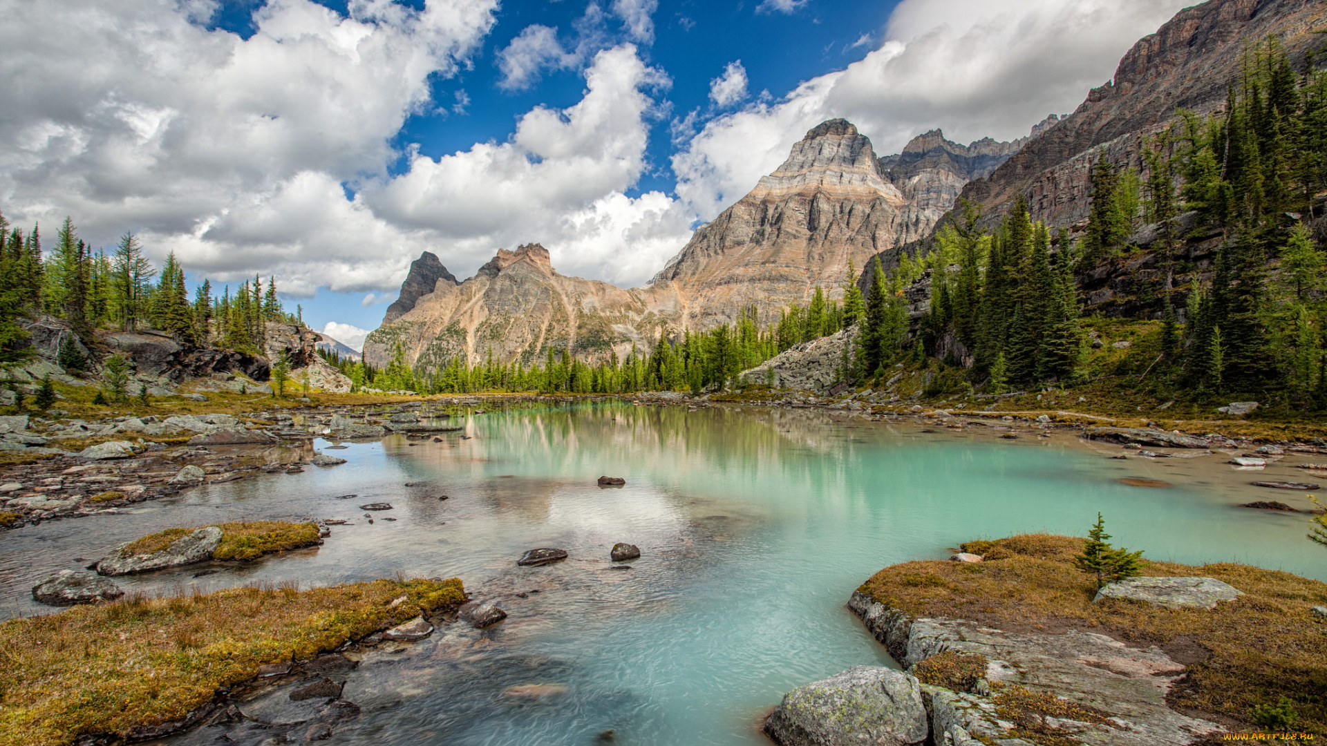 природа, реки, озера, река, лес, горы