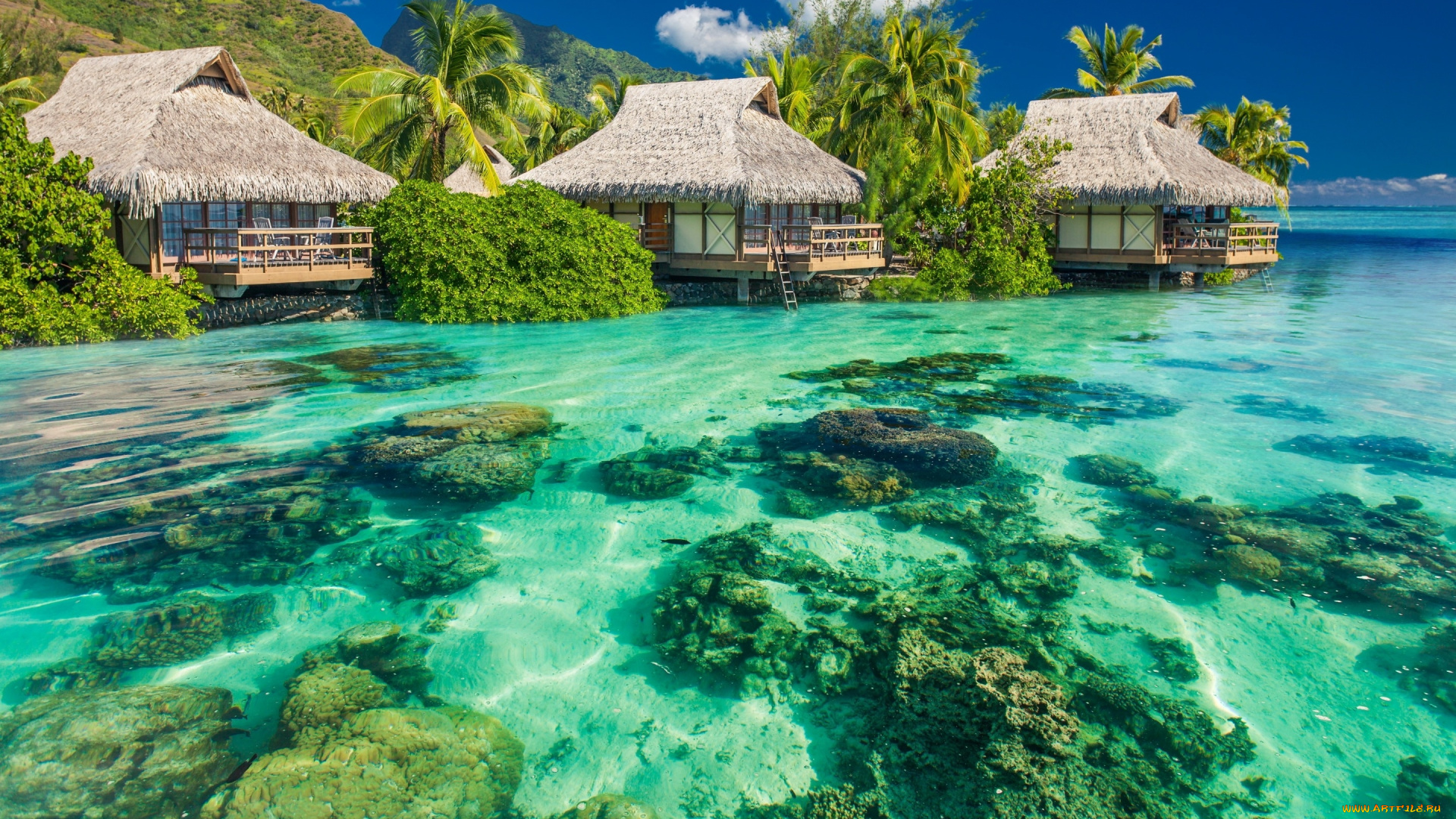 природа, тропики, небо, пальмы, бунгало, камни, вода, океан