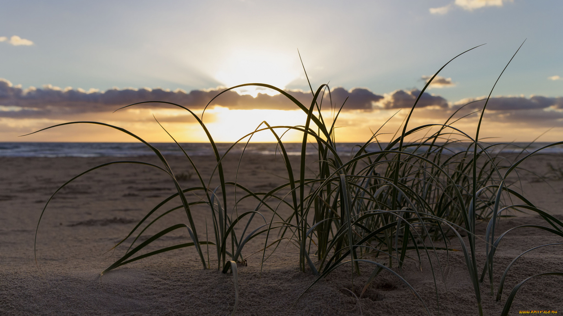 природа, восходы, закаты, закат