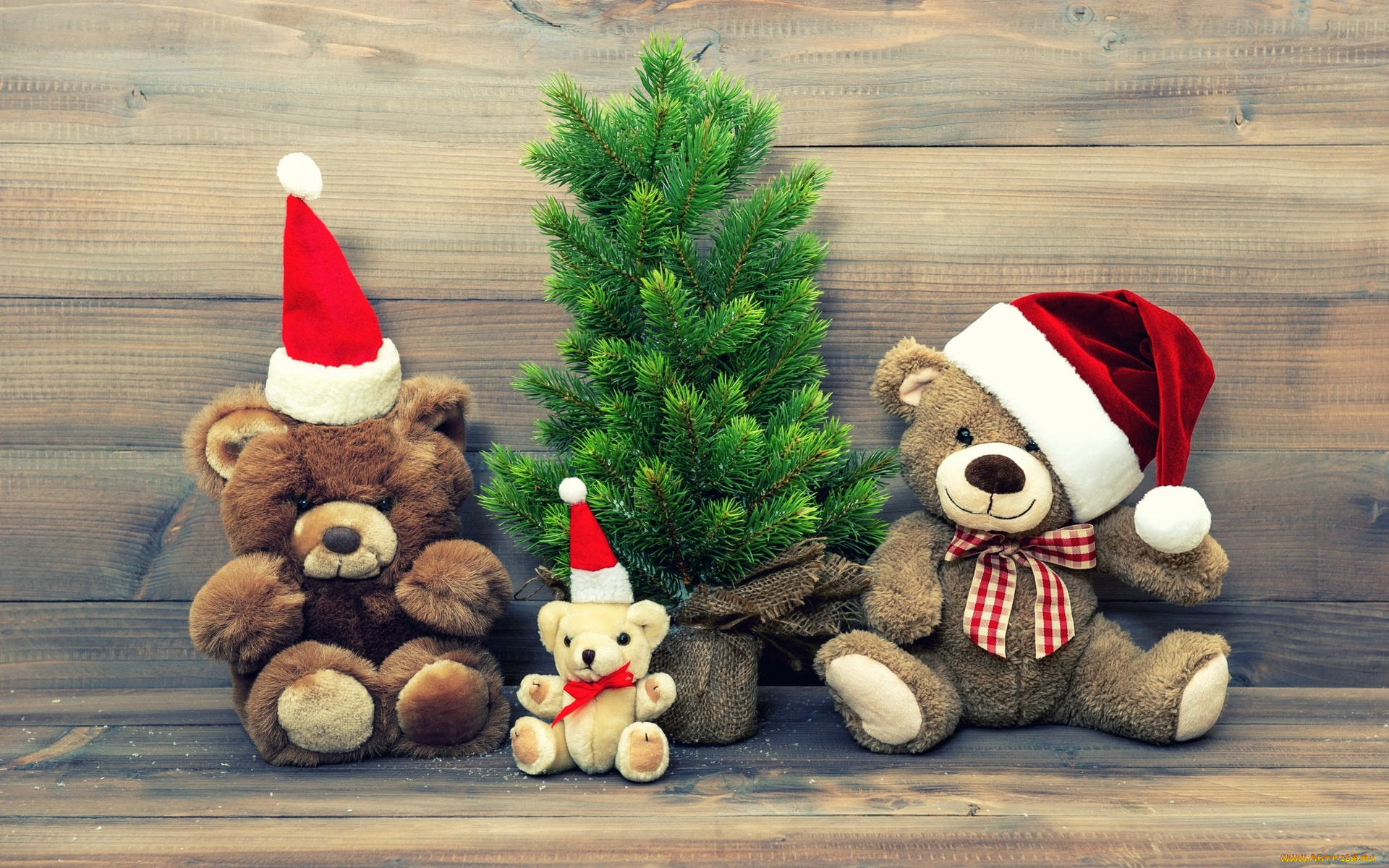 праздничные, мягкие, игрушки, скамейка, колпаки, ёлка, мишки, игрушки