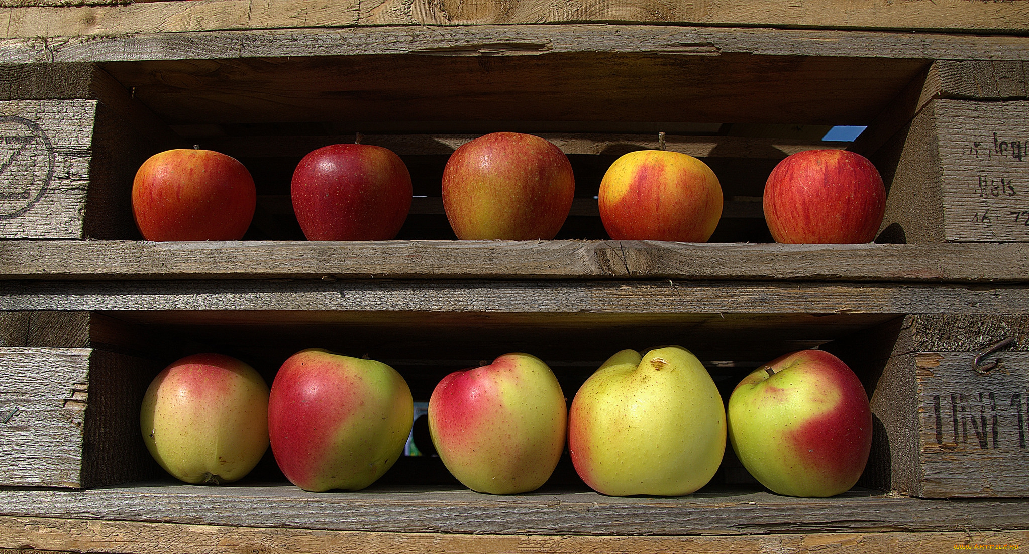 еда, Яблоки, яблочки