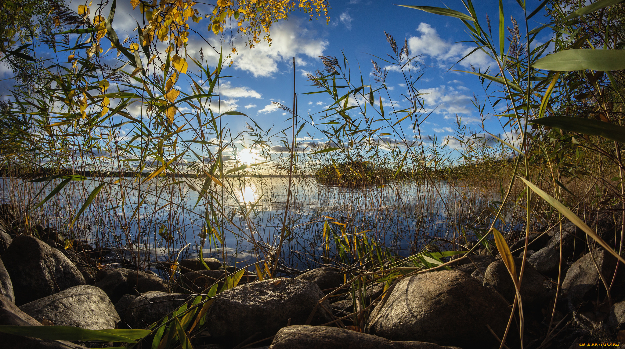 природа, восходы, закаты, река, лес