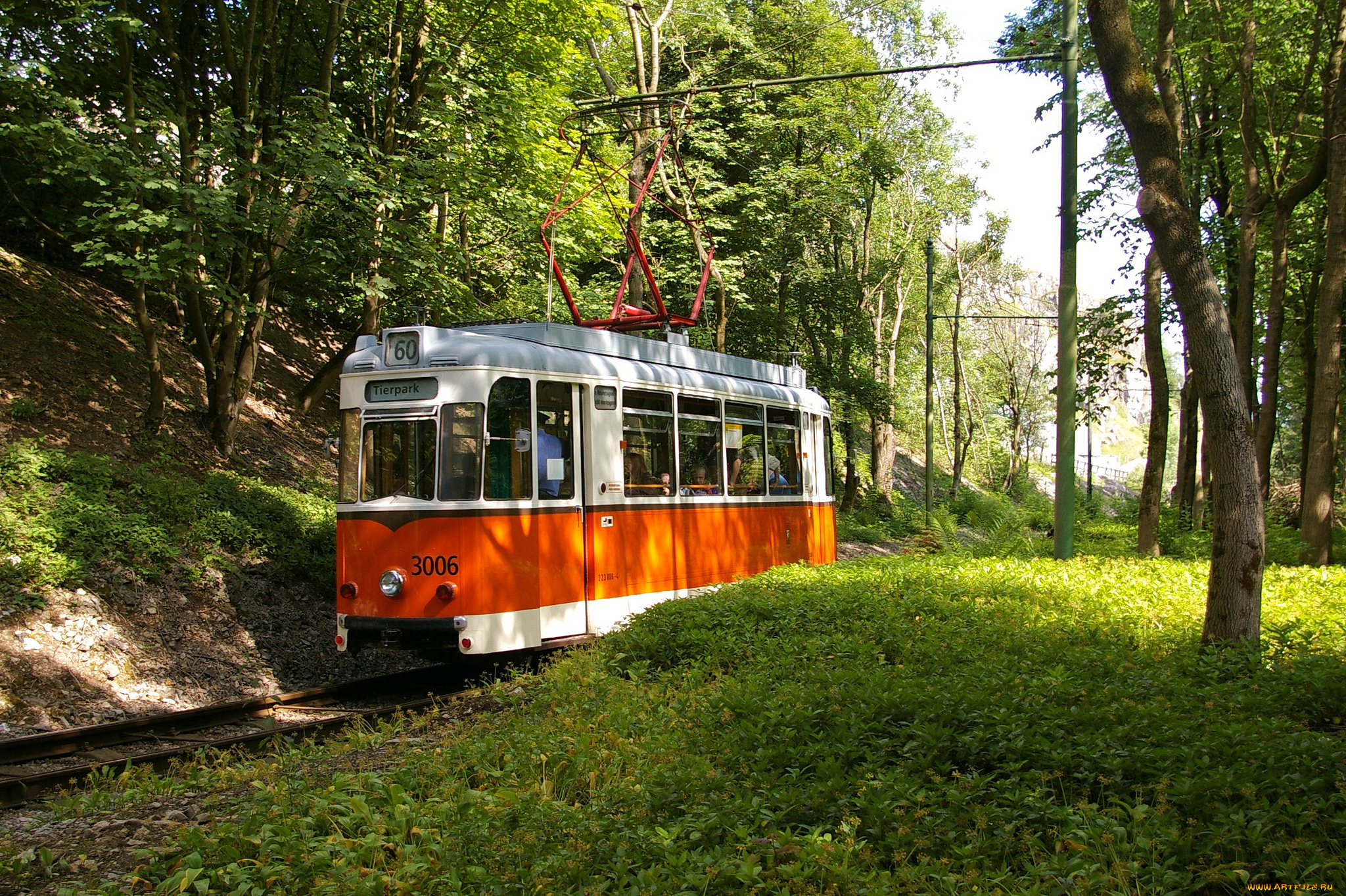 техника, трамваи, трамвай, рельсы, транспорт