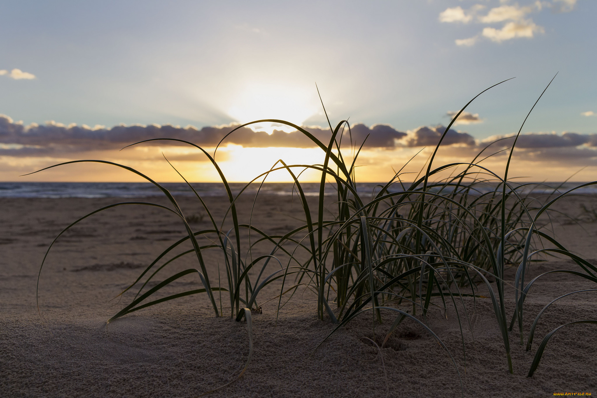 природа, восходы, закаты, закат