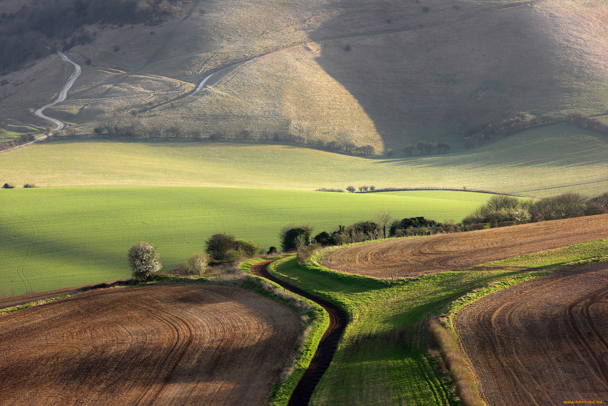 природа, поля, кустарники, деревья, весна