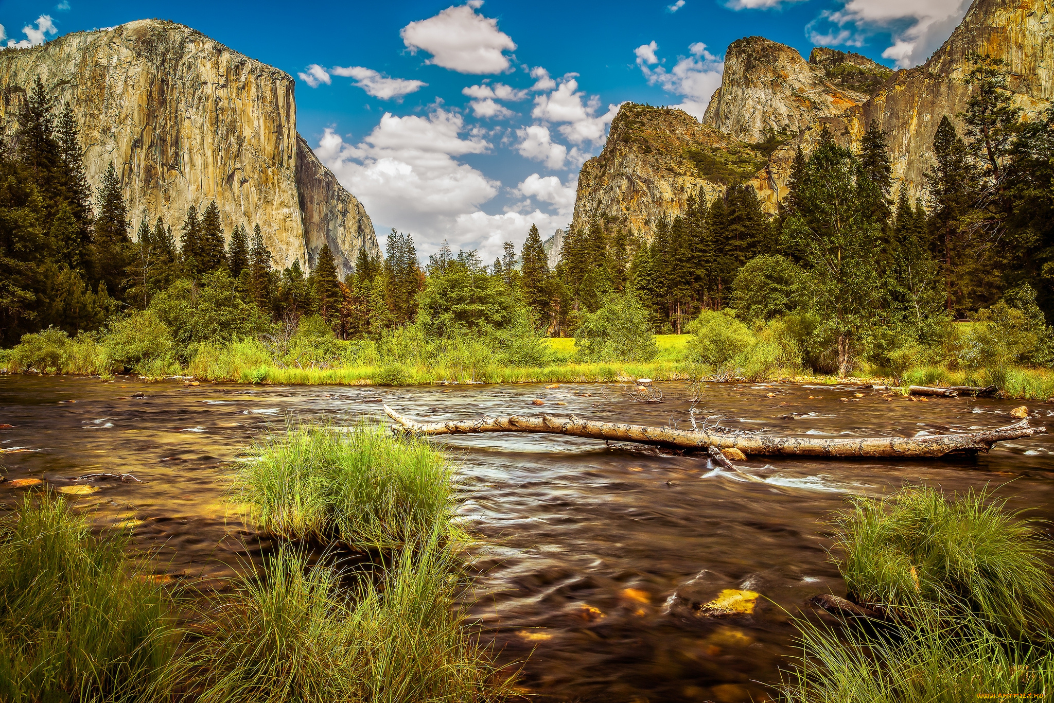 природа, реки, озера, река, лес, горы