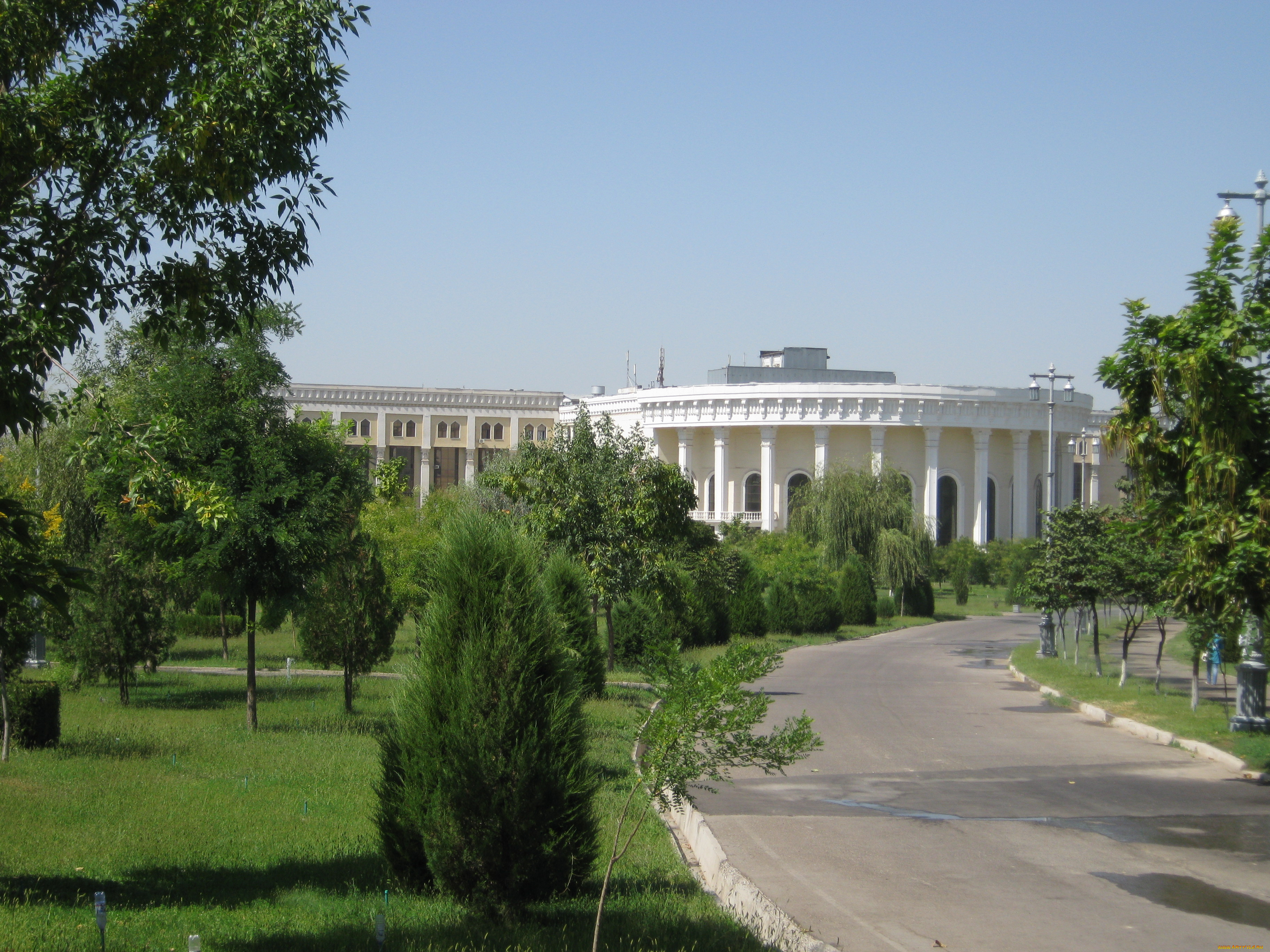 консерватория, города, -, другое, восток, ташкент, лето, здание