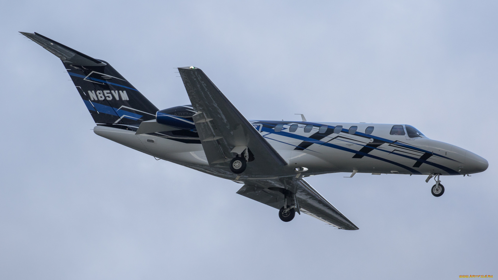 cessna, citation, авиация, пассажирские, самолёты, авиаперевозчик