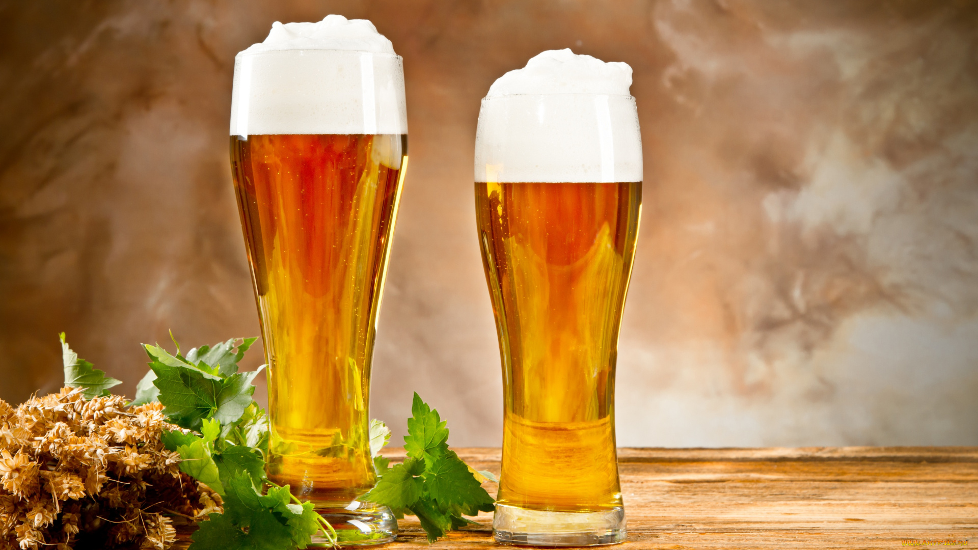 еда, напитки, , пиво, пиво, бокал, пшеница