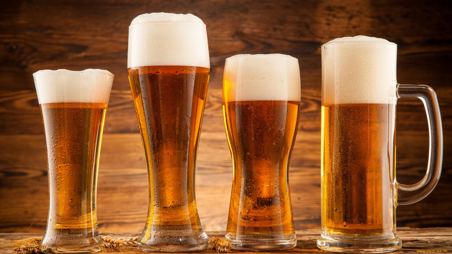 еда, напитки, , пиво, пшеница, пиво, бокал
