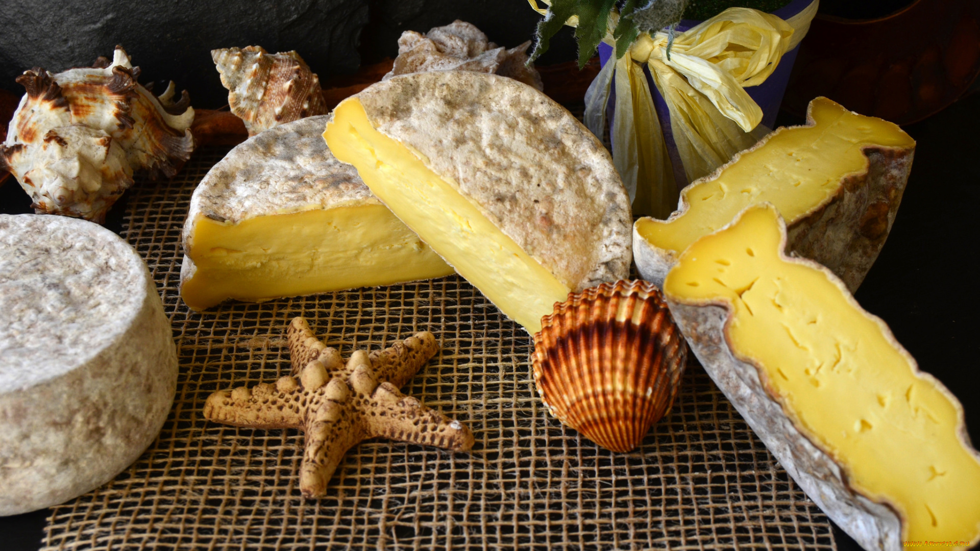 еда, сырные, изделия, сыр