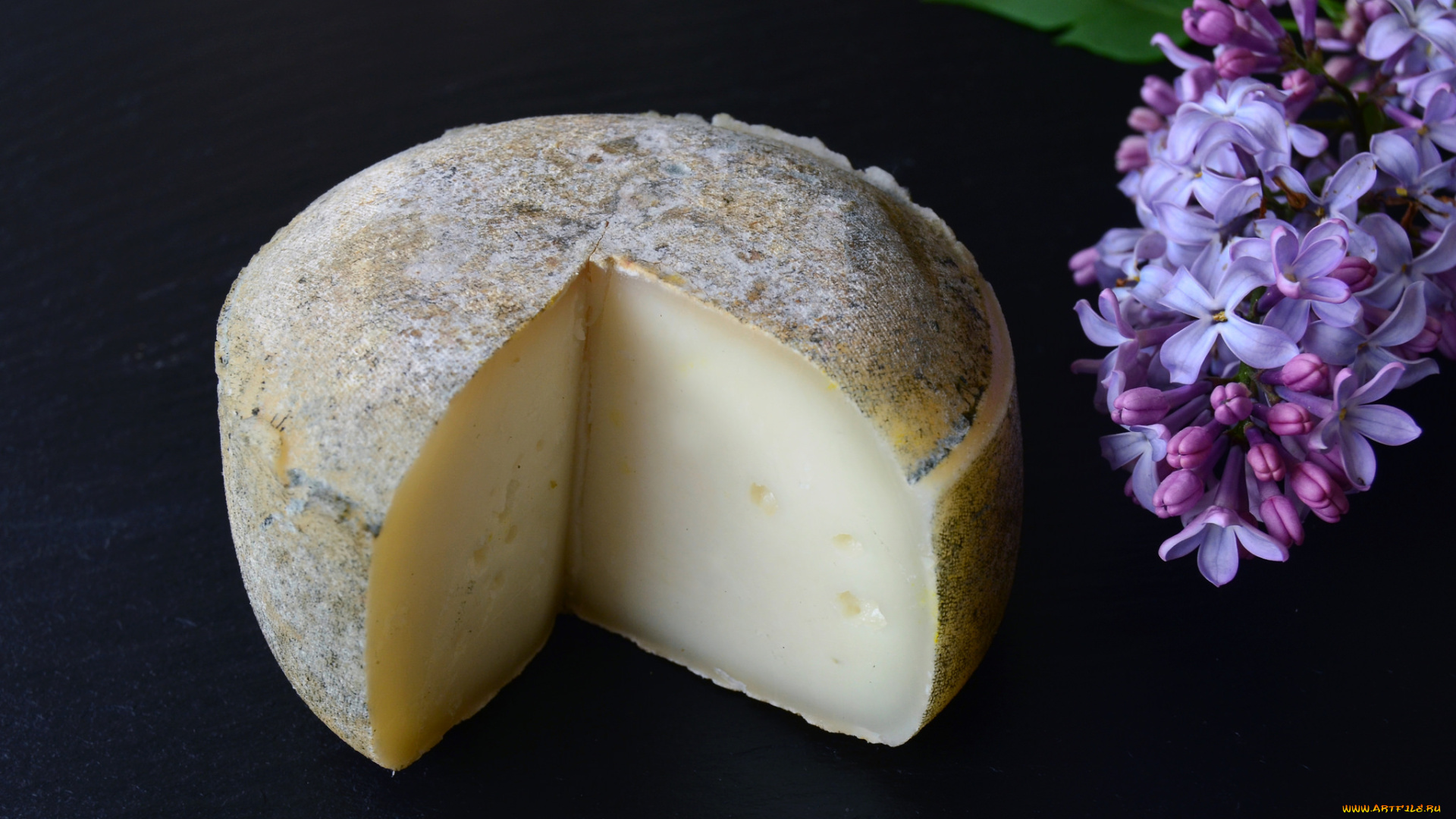 еда, сырные, изделия, сыр