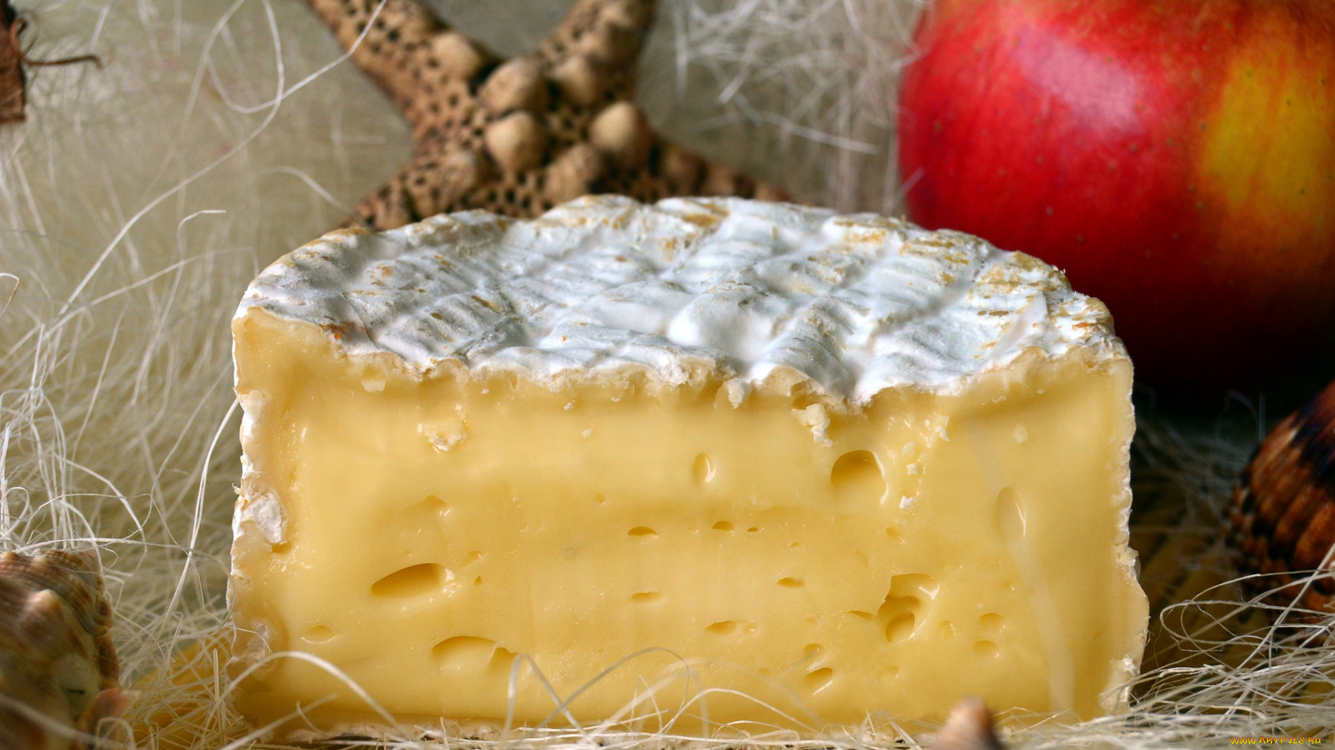 еда, сырные, изделия, сыр