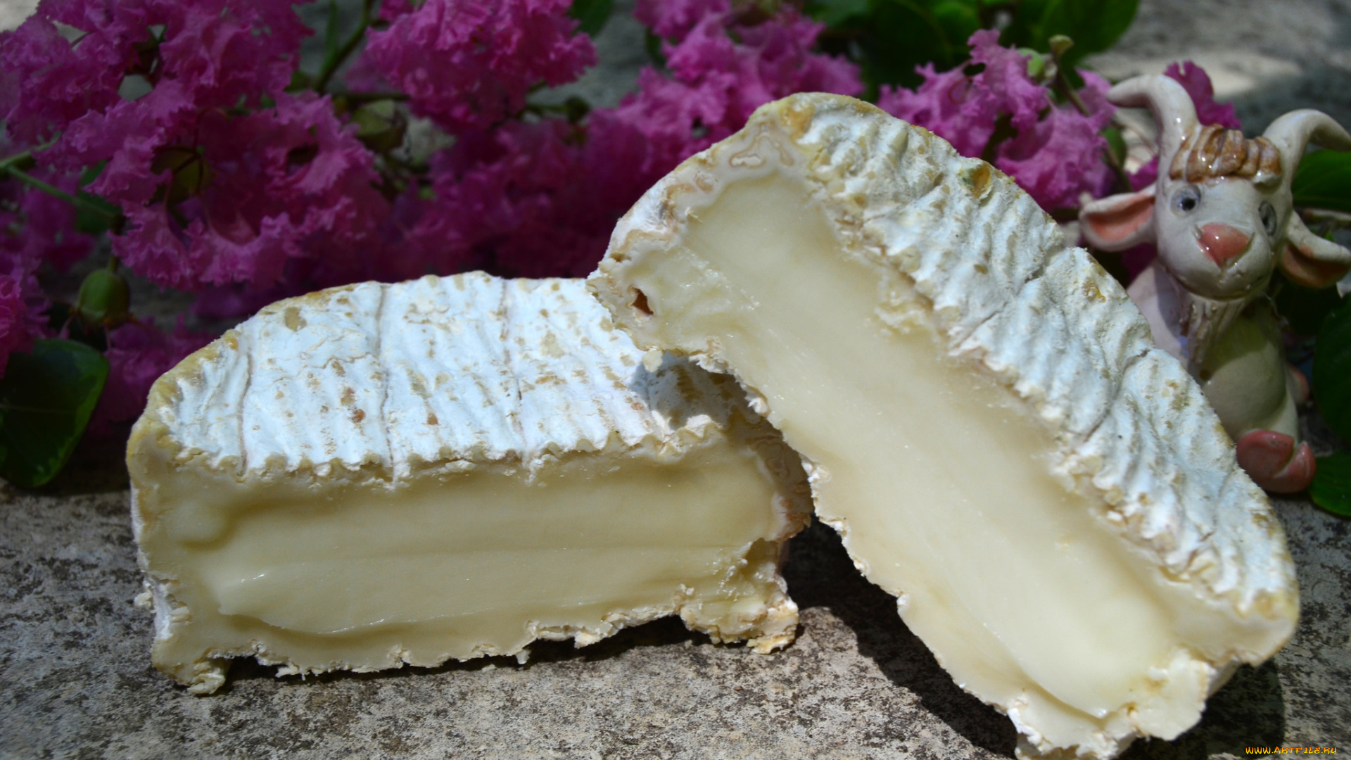 еда, сырные, изделия, сыр