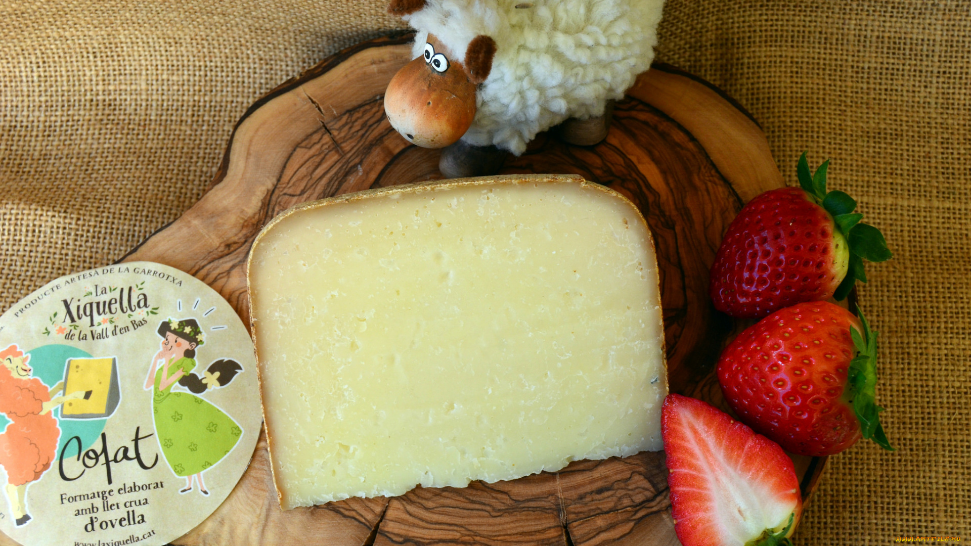 еда, сырные, изделия, сыр