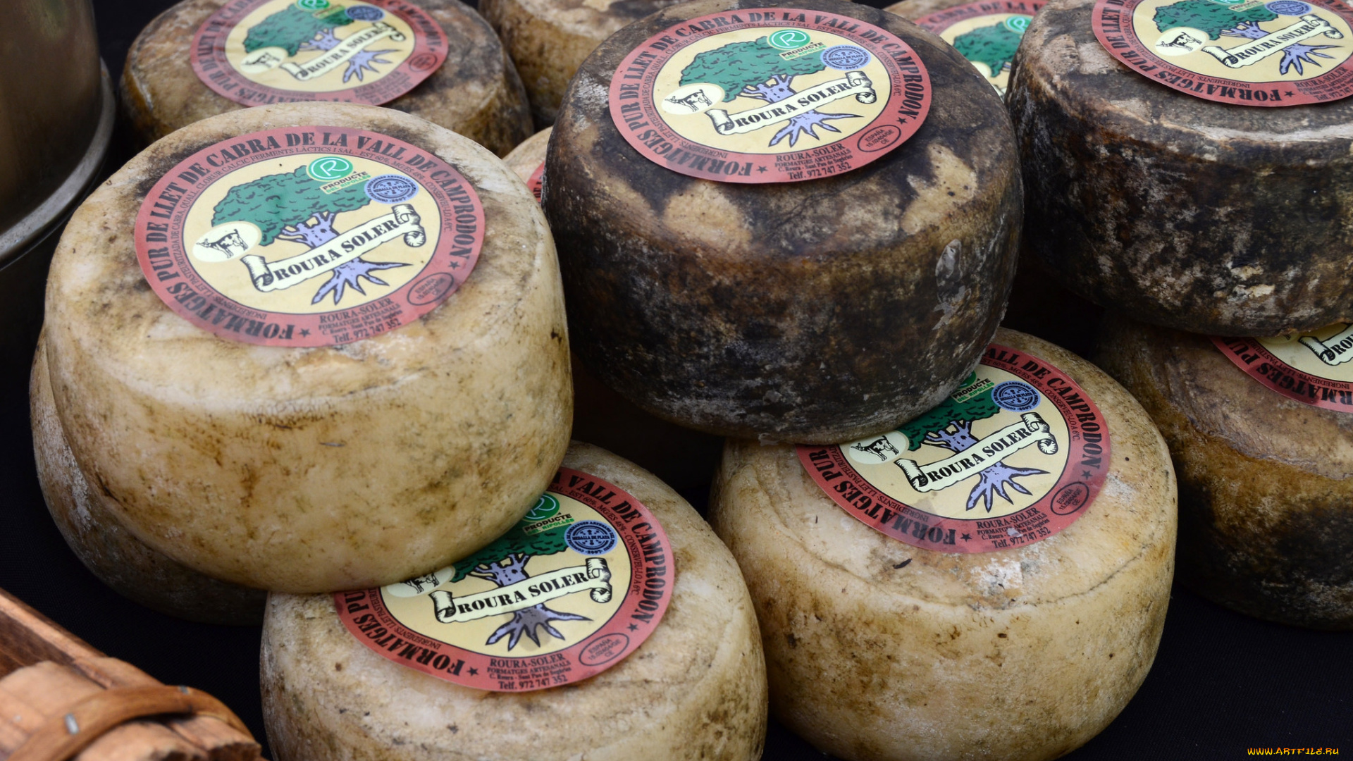 еда, сырные, изделия, сыр