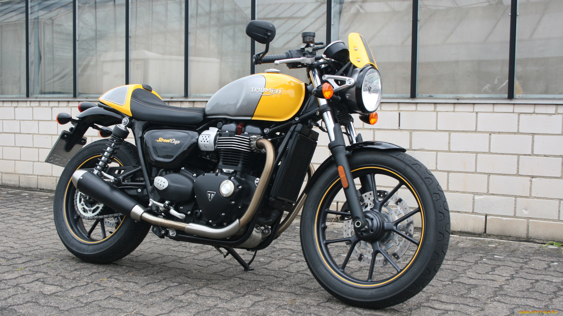 мотоциклы, triumph