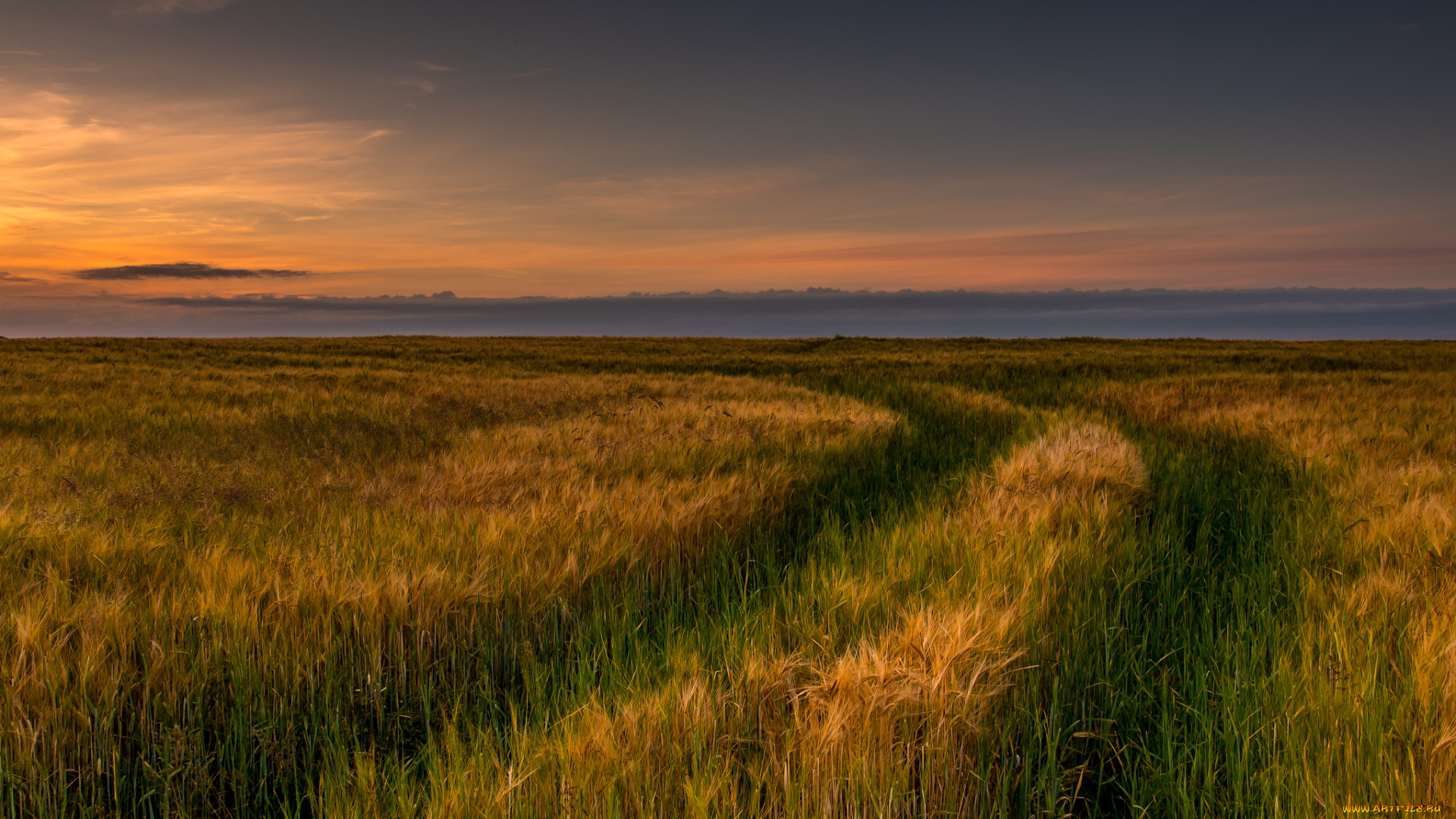 природа, дороги, простор