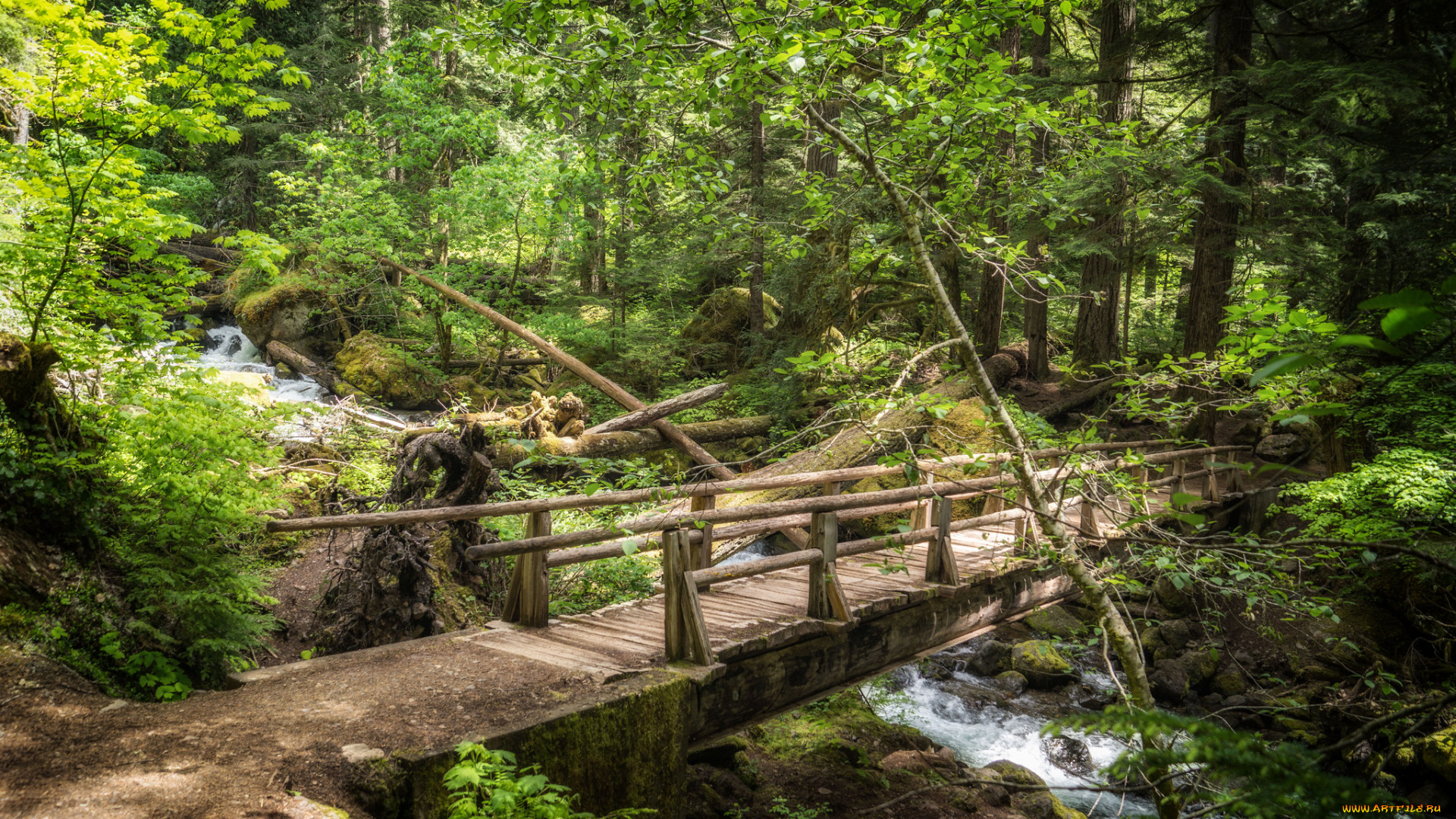 природа, дороги, простор