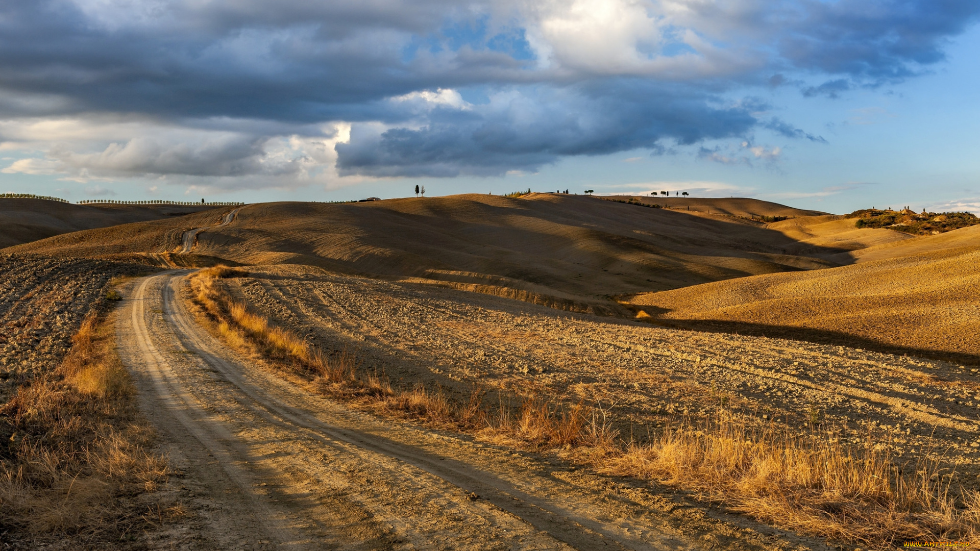 природа, дороги, простор
