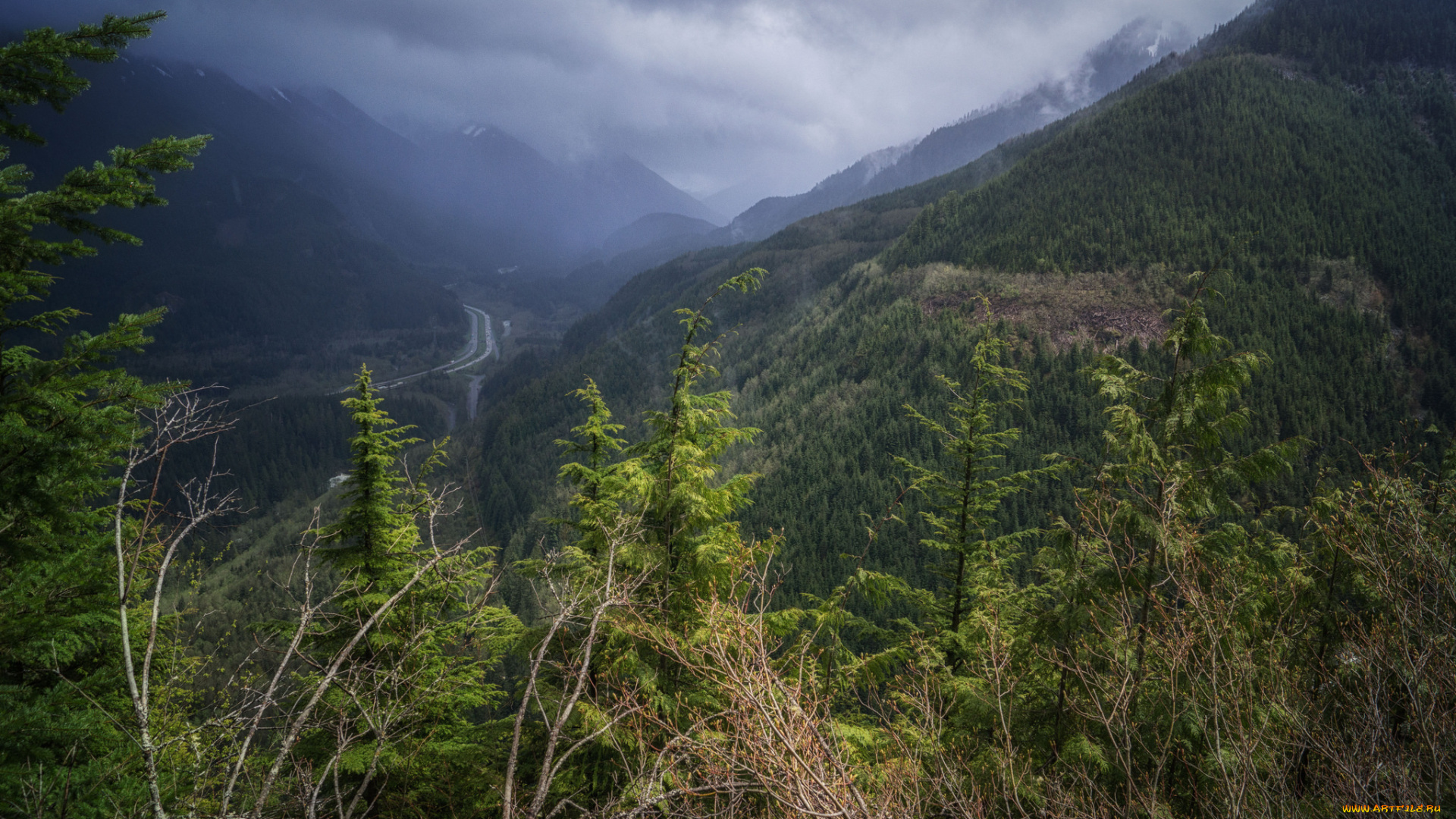 природа, горы, простор