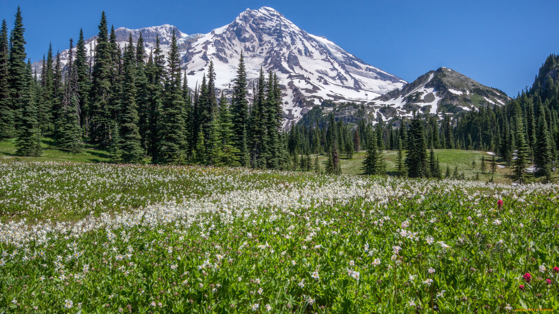 природа, горы, простор