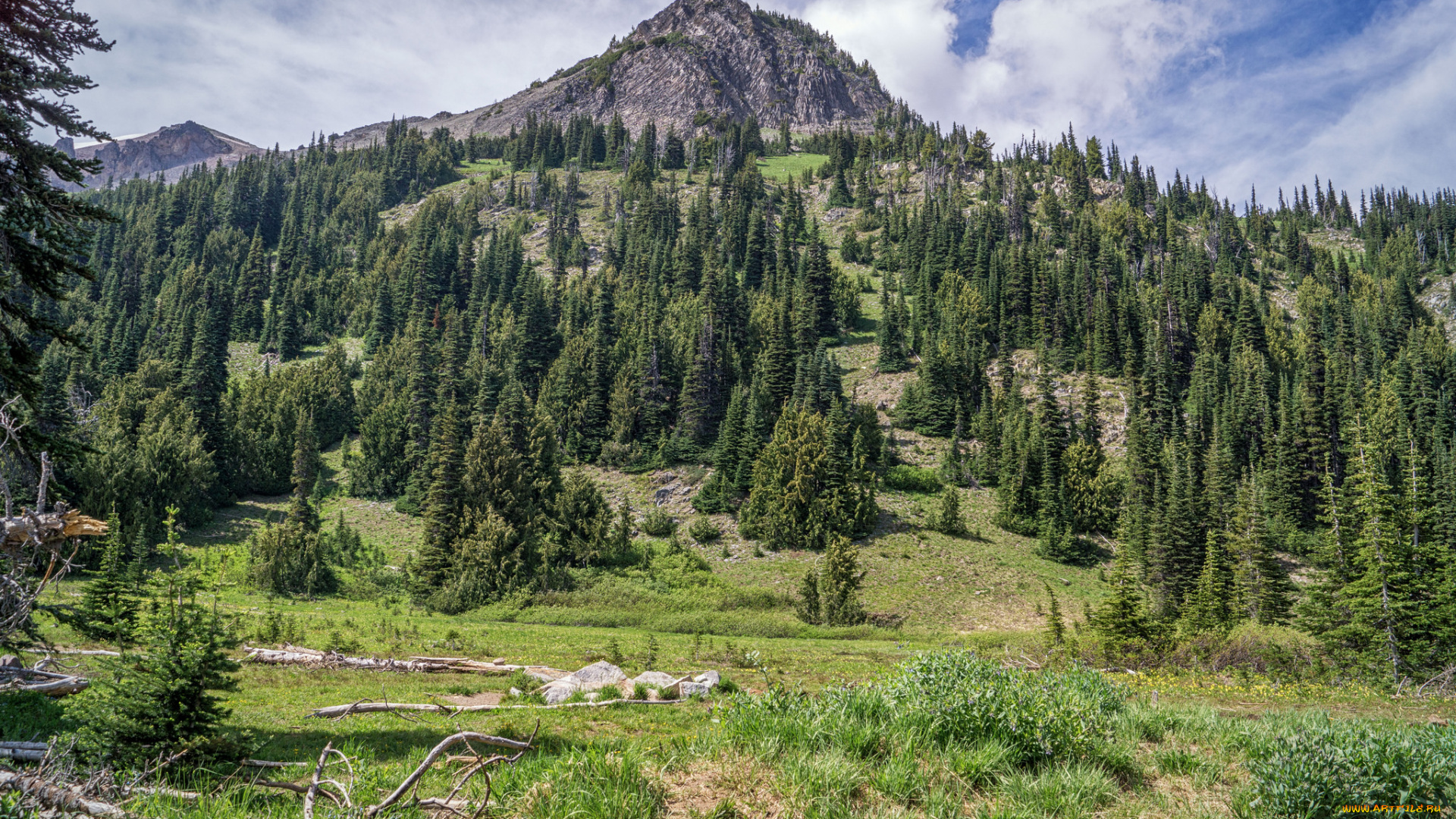 природа, горы, простор