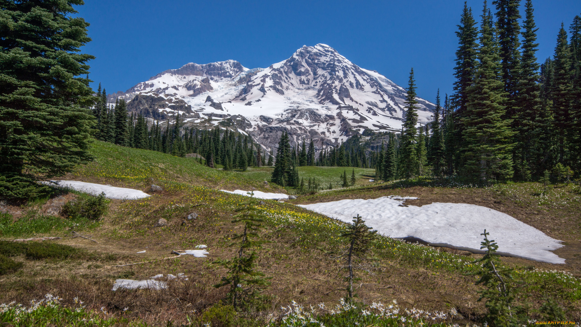 природа, горы, простор