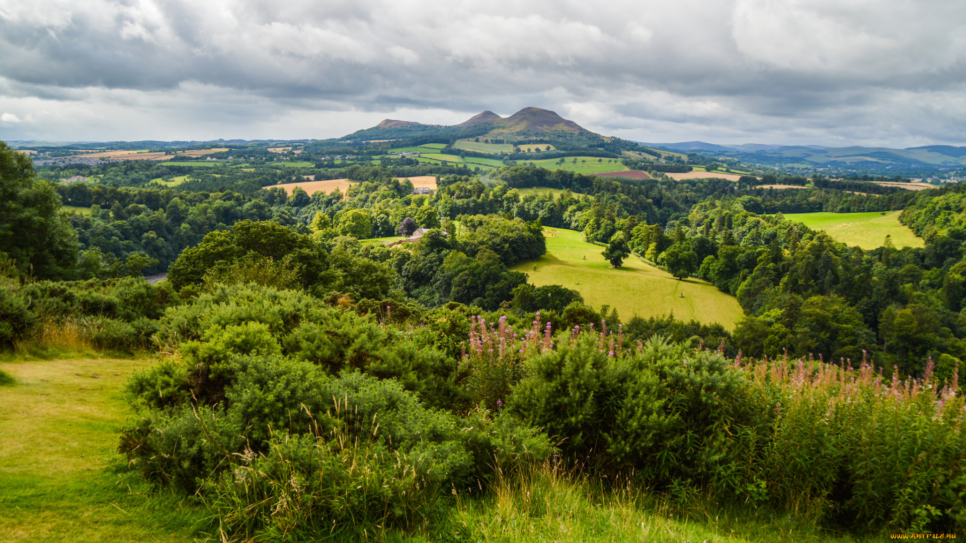 природа, пейзажи, простор