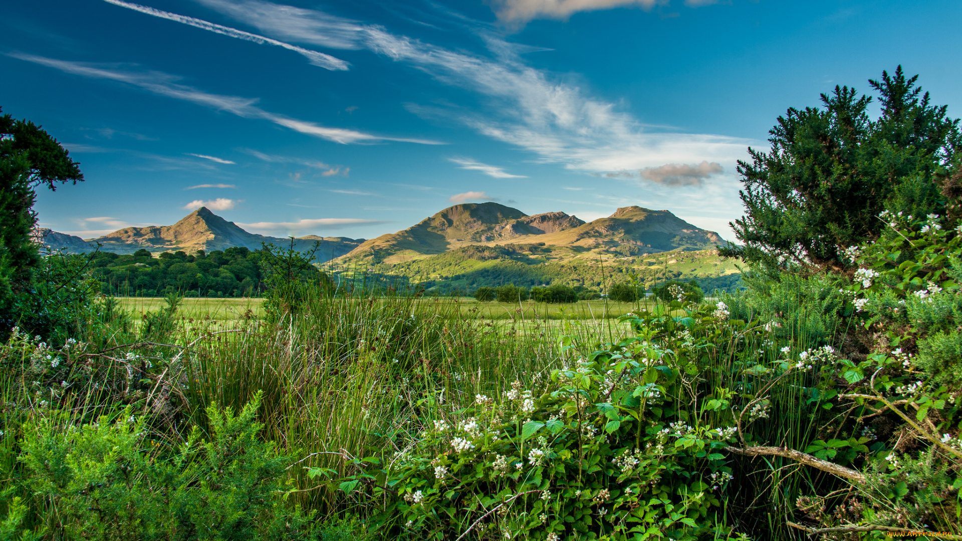 природа, пейзажи, простор