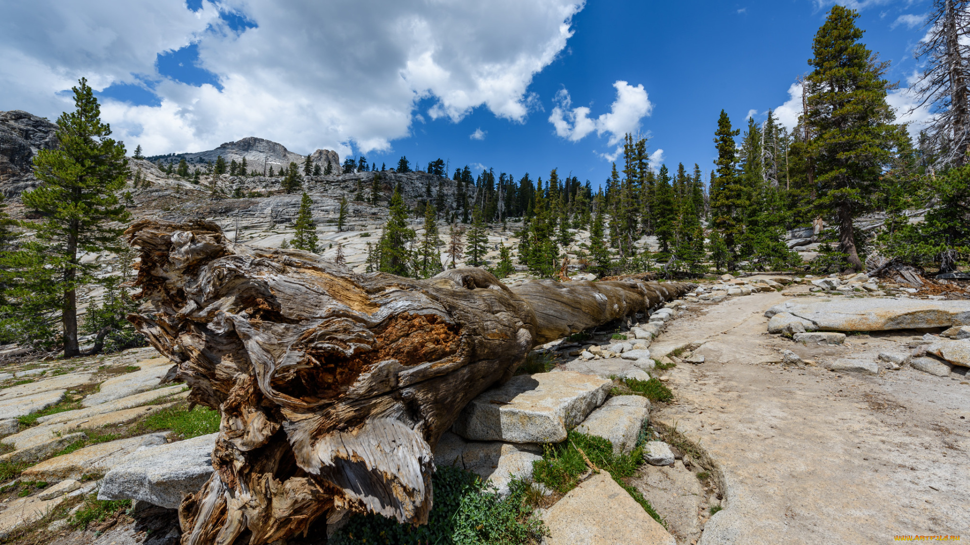 природа, пейзажи, простор