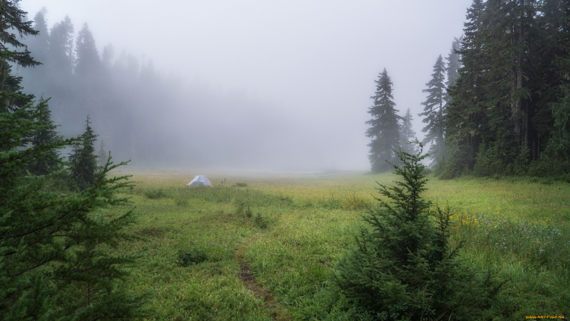 природа, пейзажи, простор