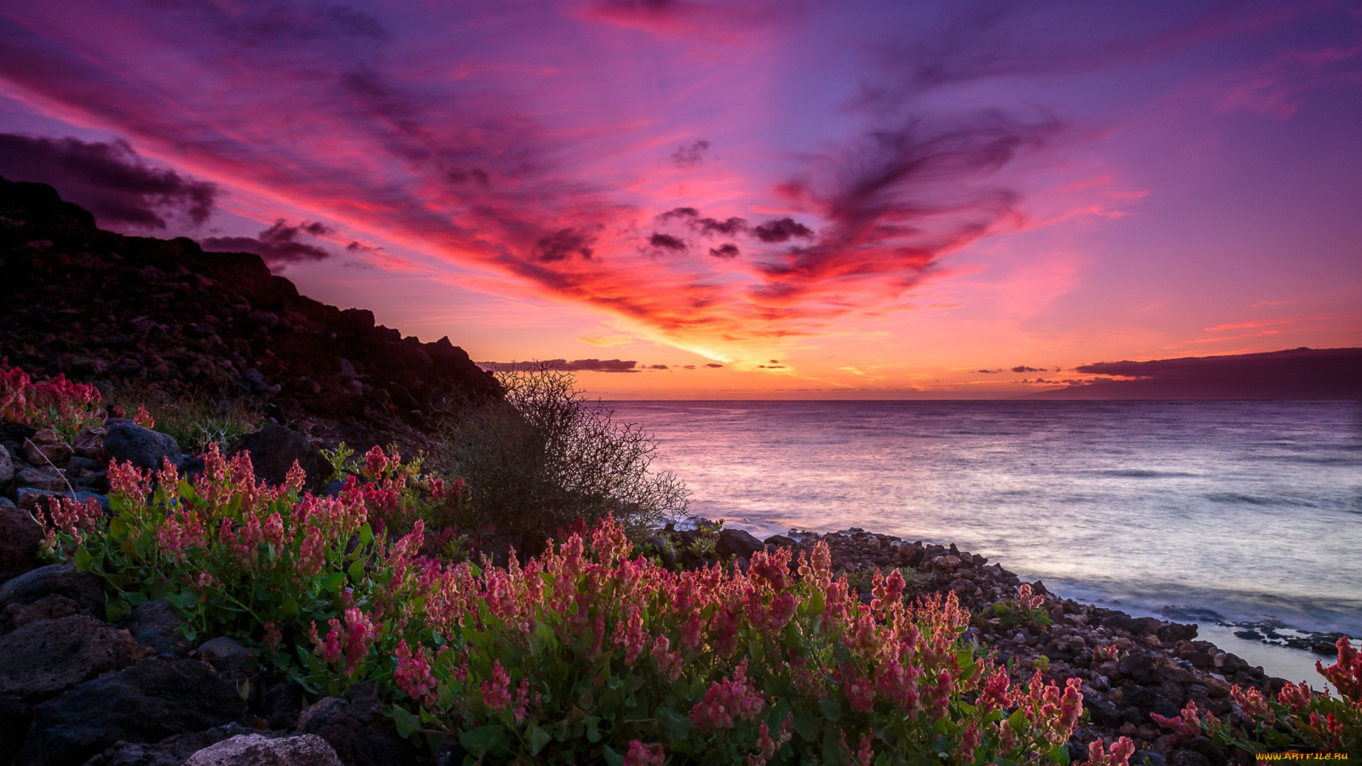 природа, побережье, простор