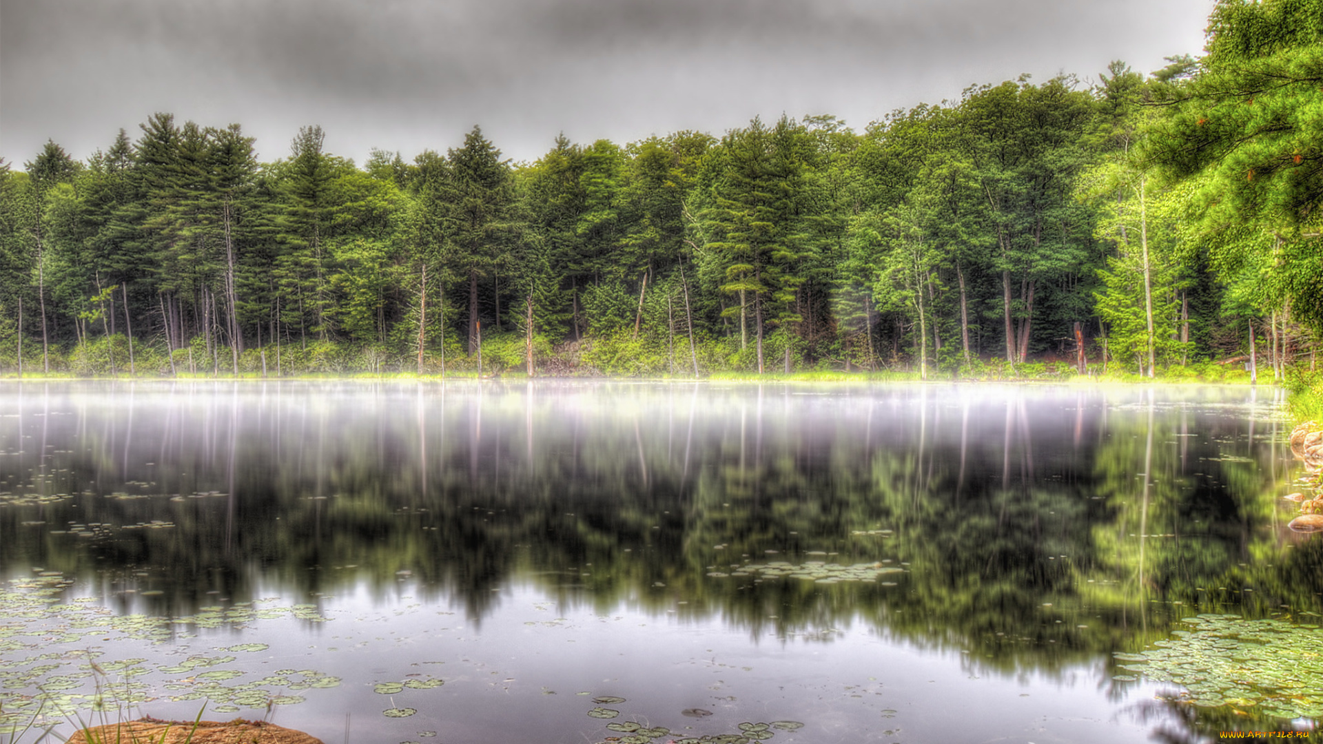 природа, реки, озера, простор