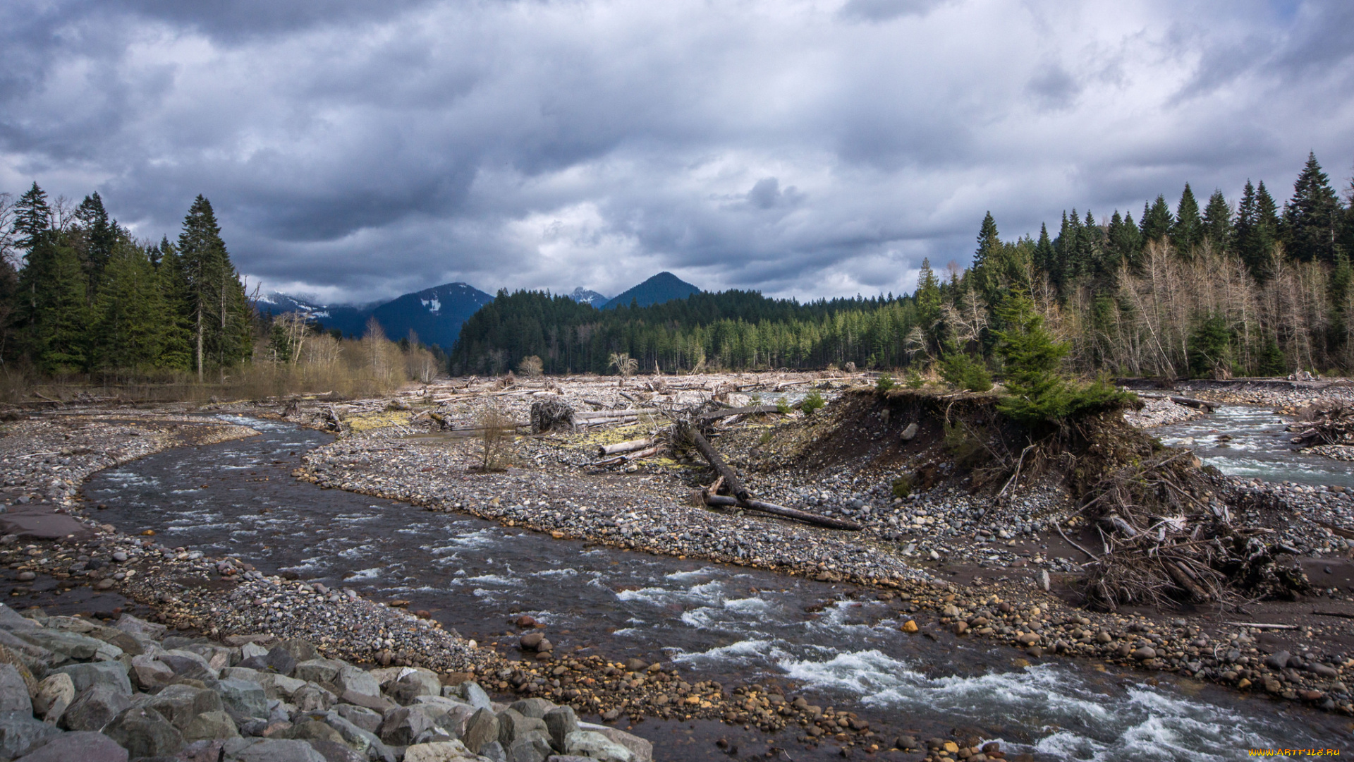 природа, реки, озера, простор