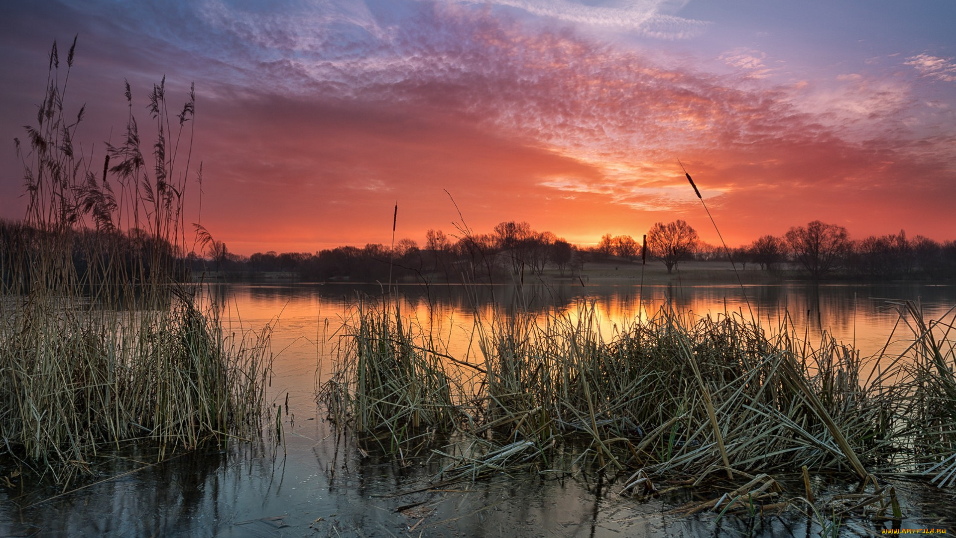 природа, реки, озера, простор