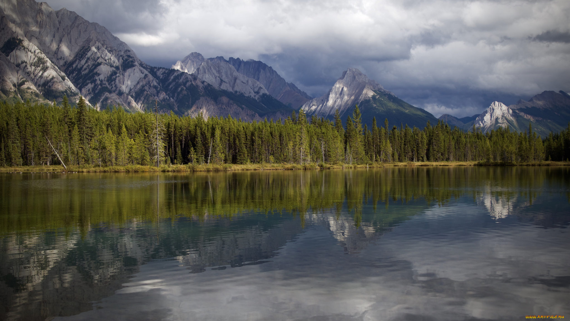 природа, реки, озера, простор