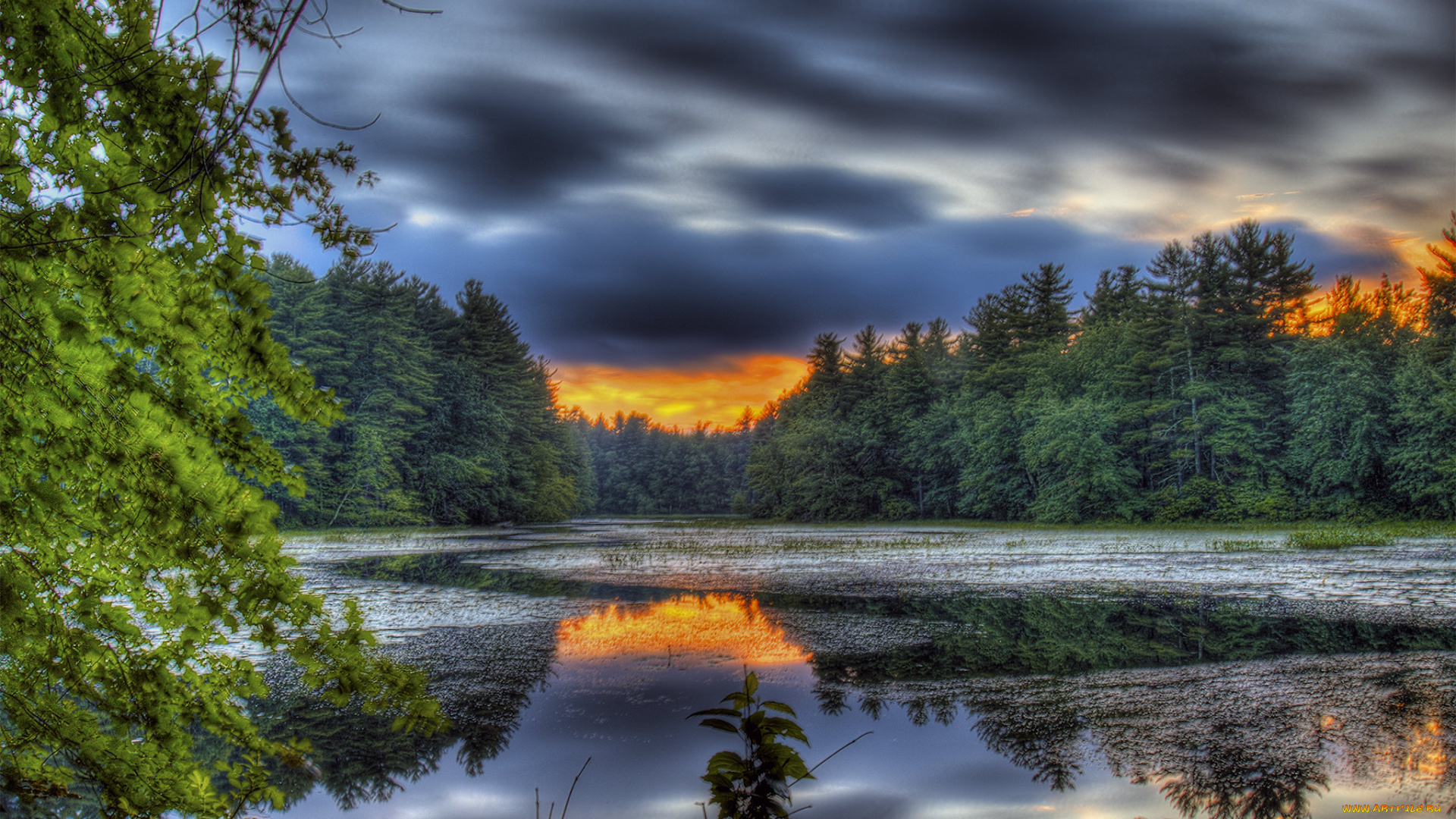 природа, реки, озера, простор