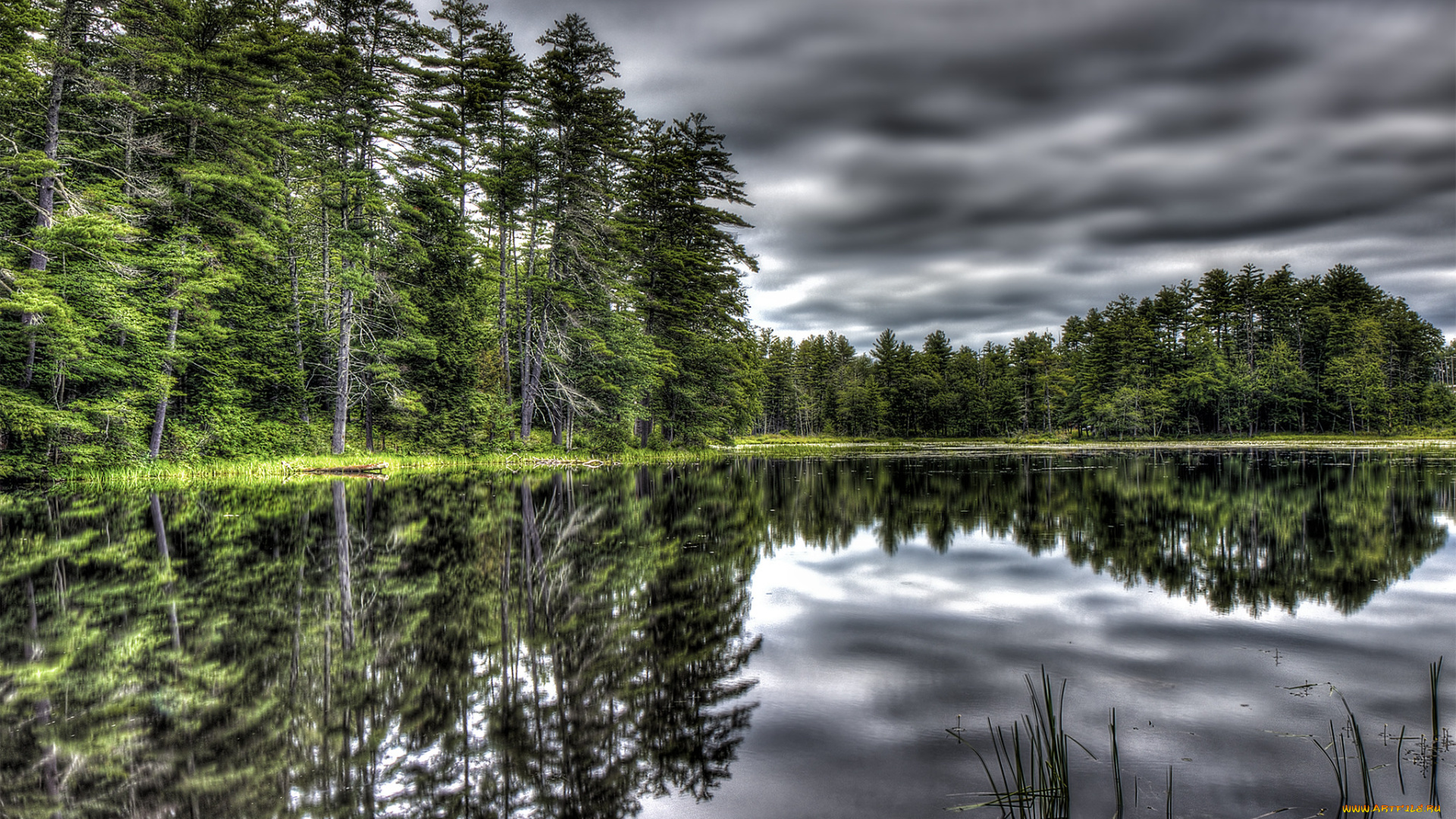 природа, реки, озера, простор