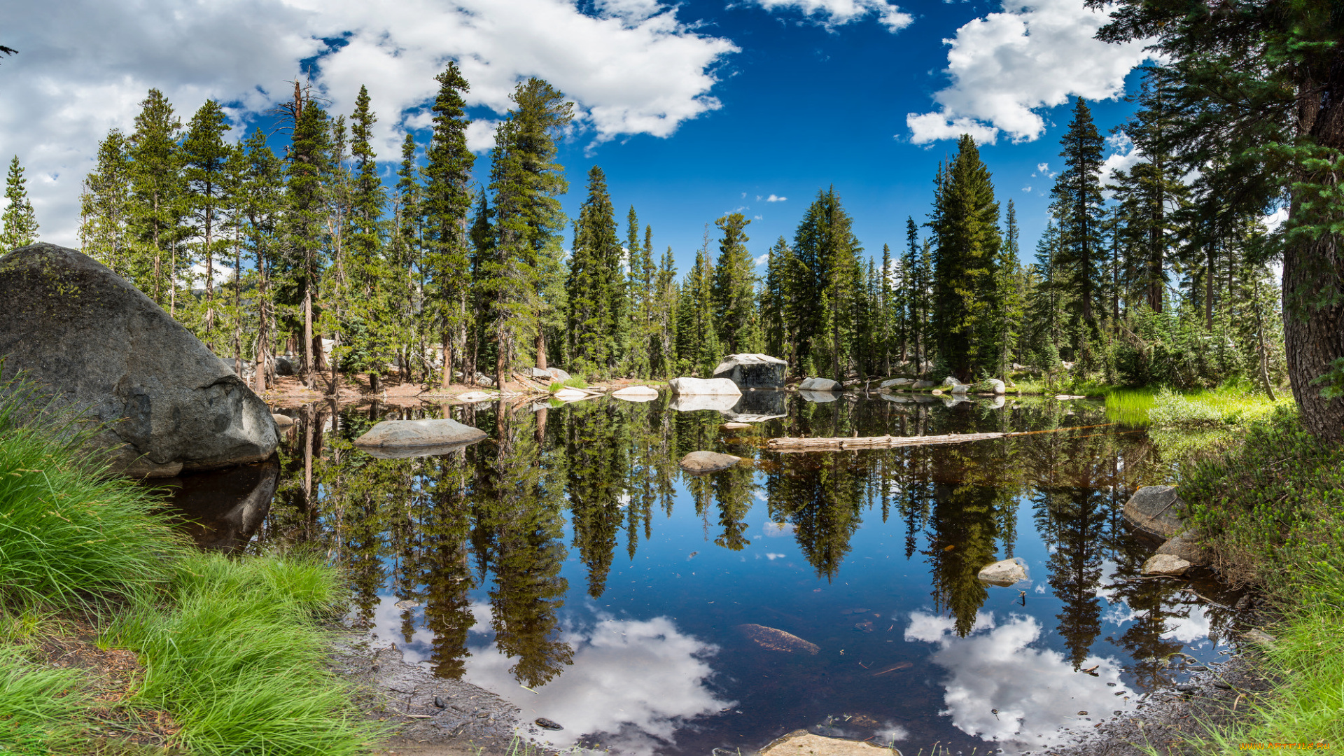 природа, реки, озера, простор